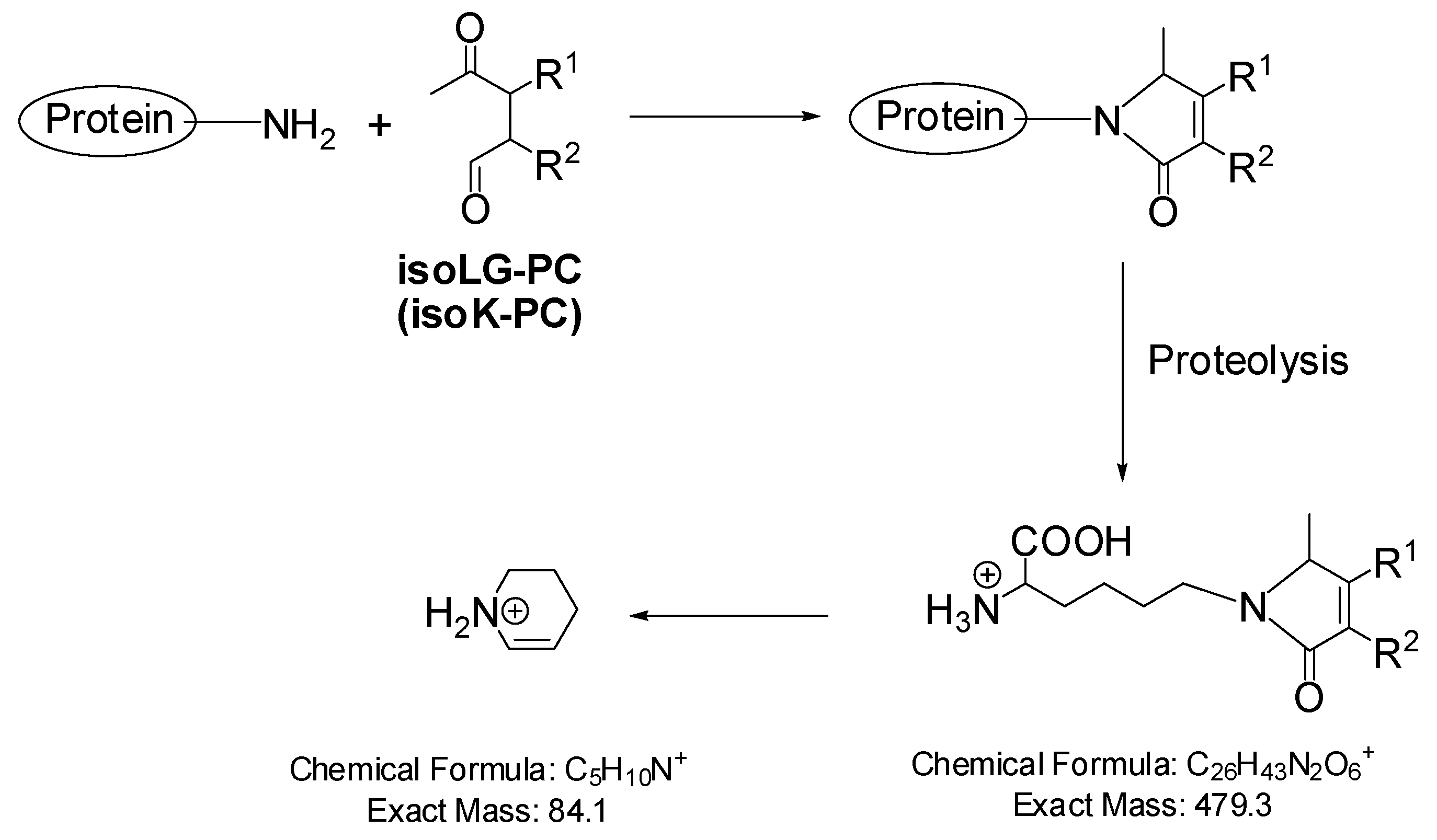 Molecules 16 05333 sch004 550