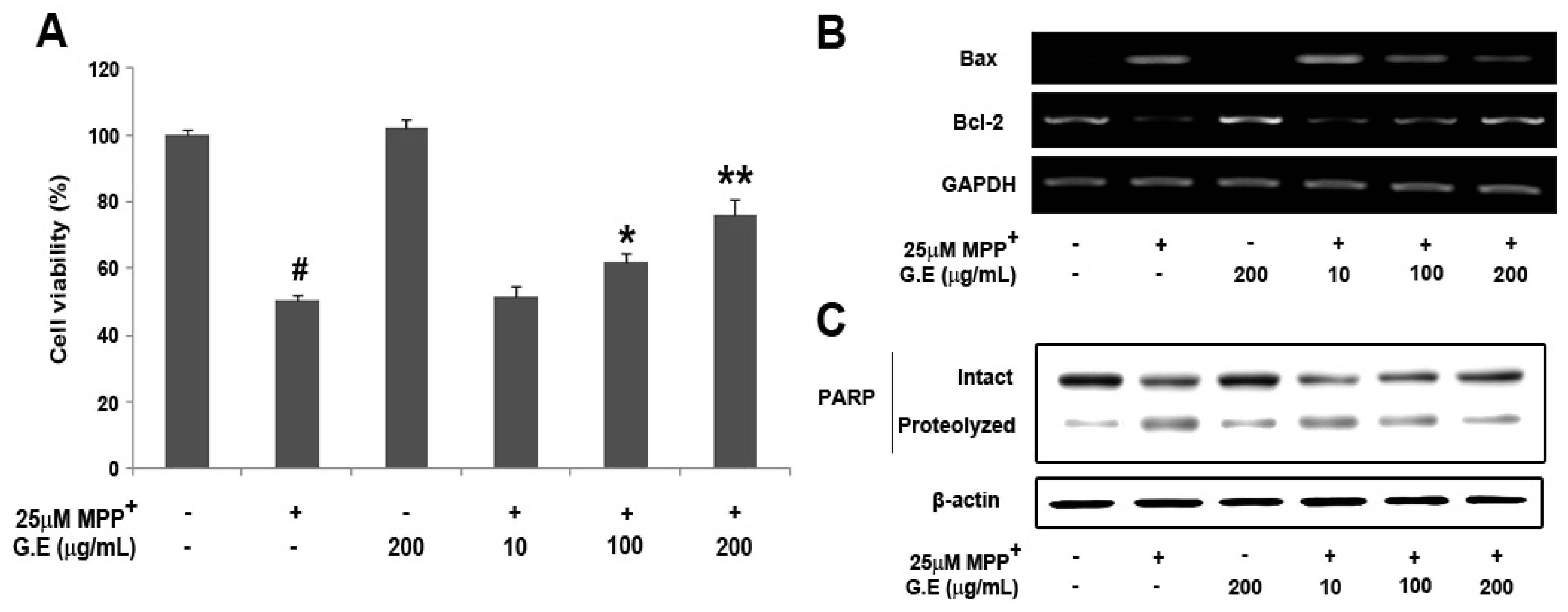 Molecules 16 05349 g001 550