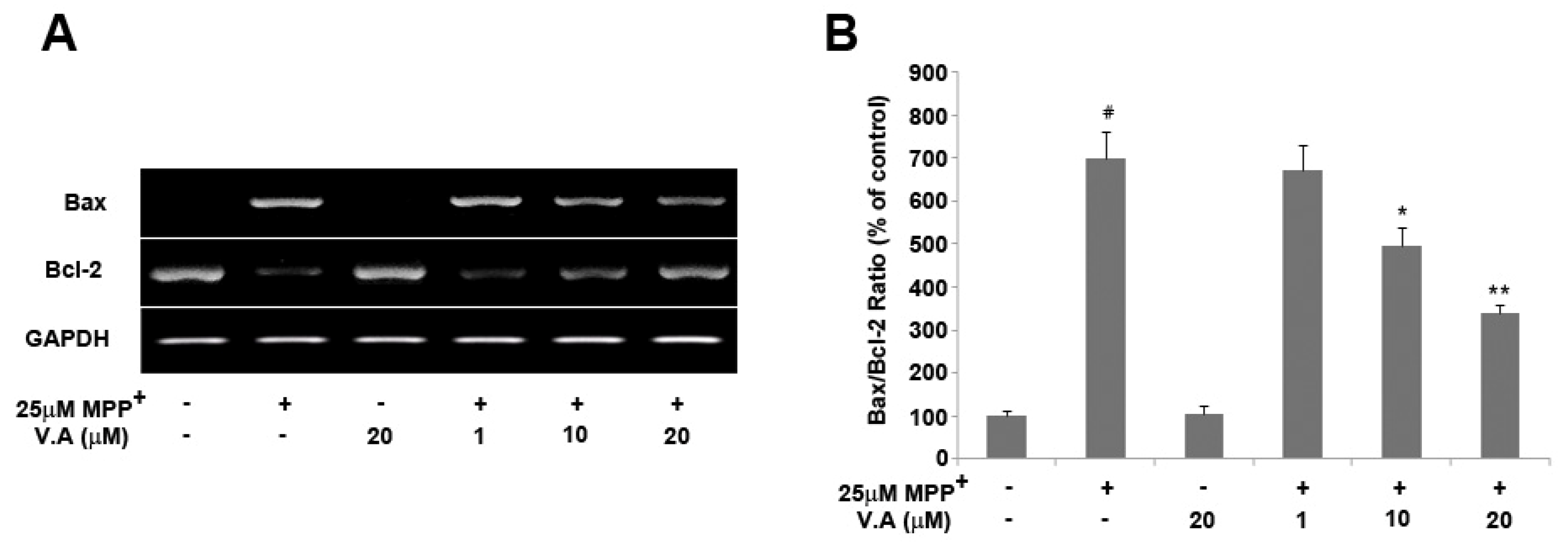 Molecules 16 05349 g006 550