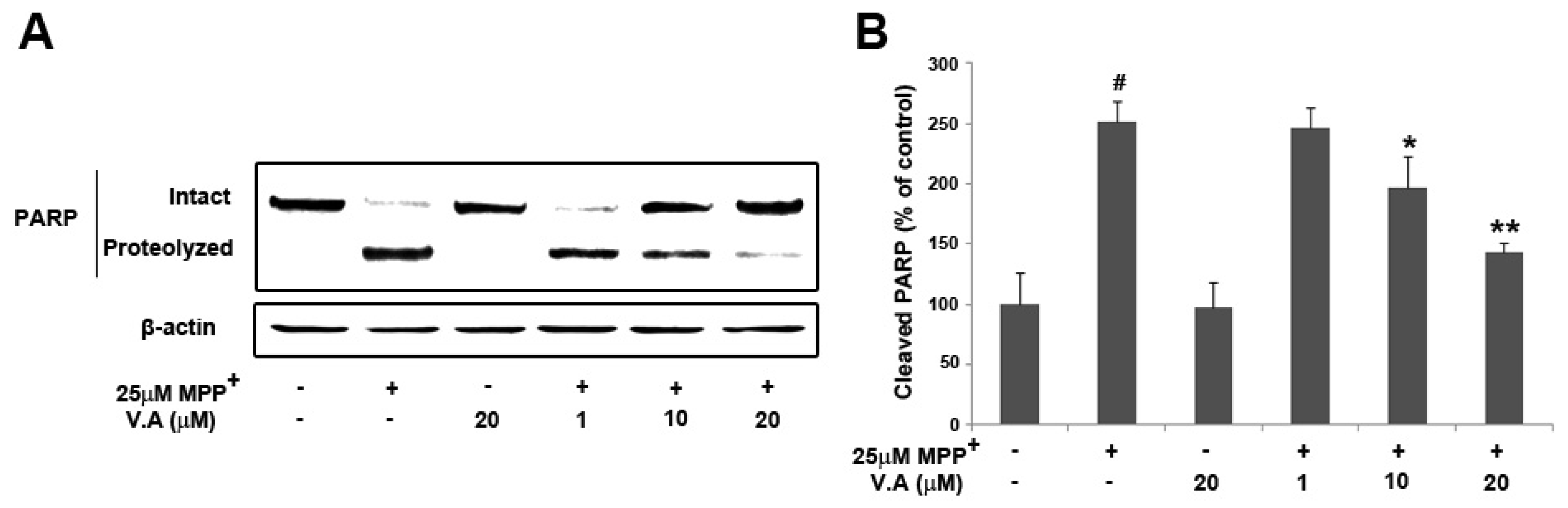 Molecules 16 05349 g007 550