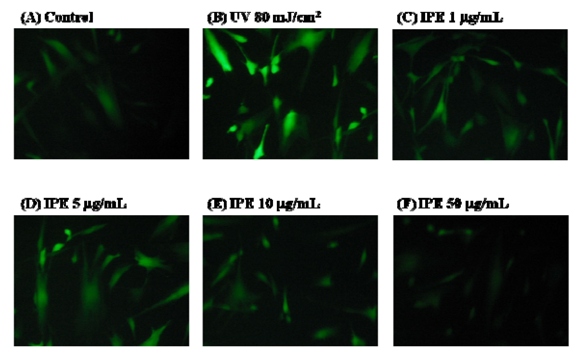 Molecules 16 05735 g008a