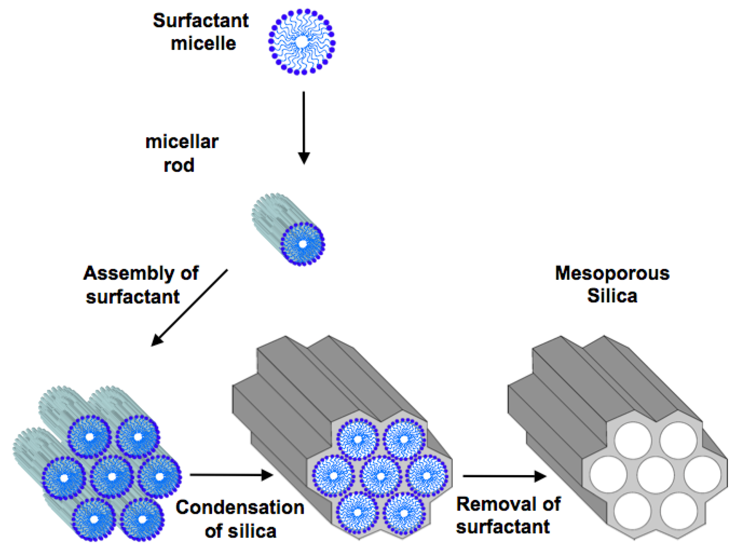Molecules 16 05938 g001