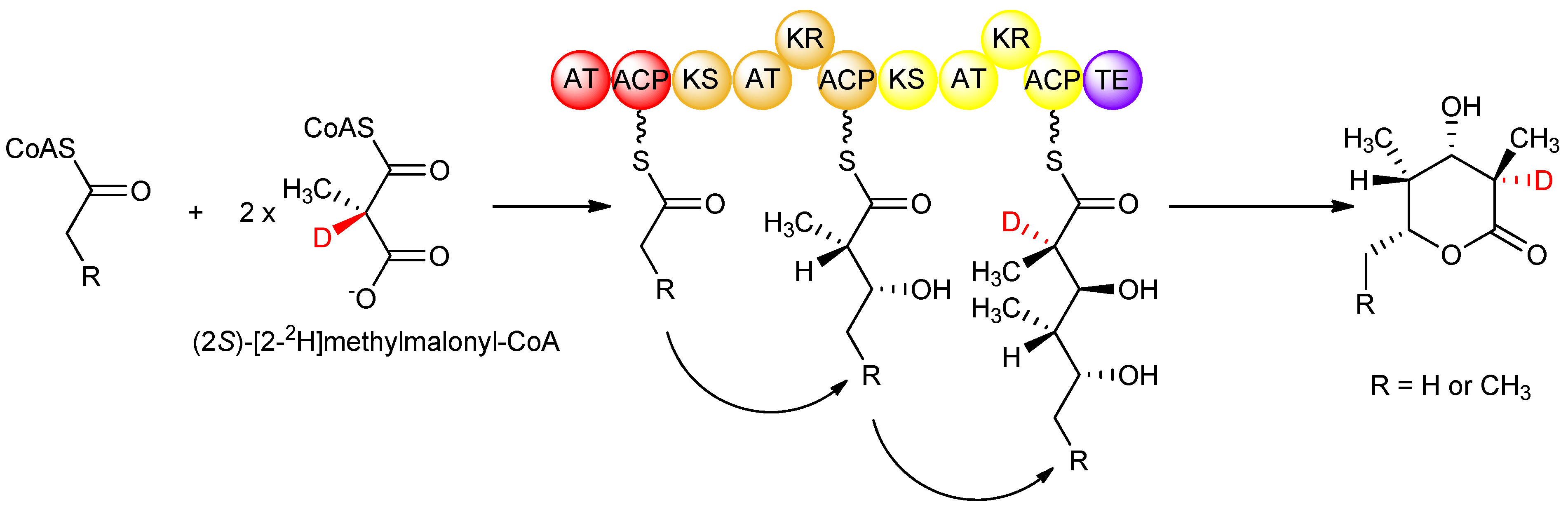 Molecules 16 06092 g008