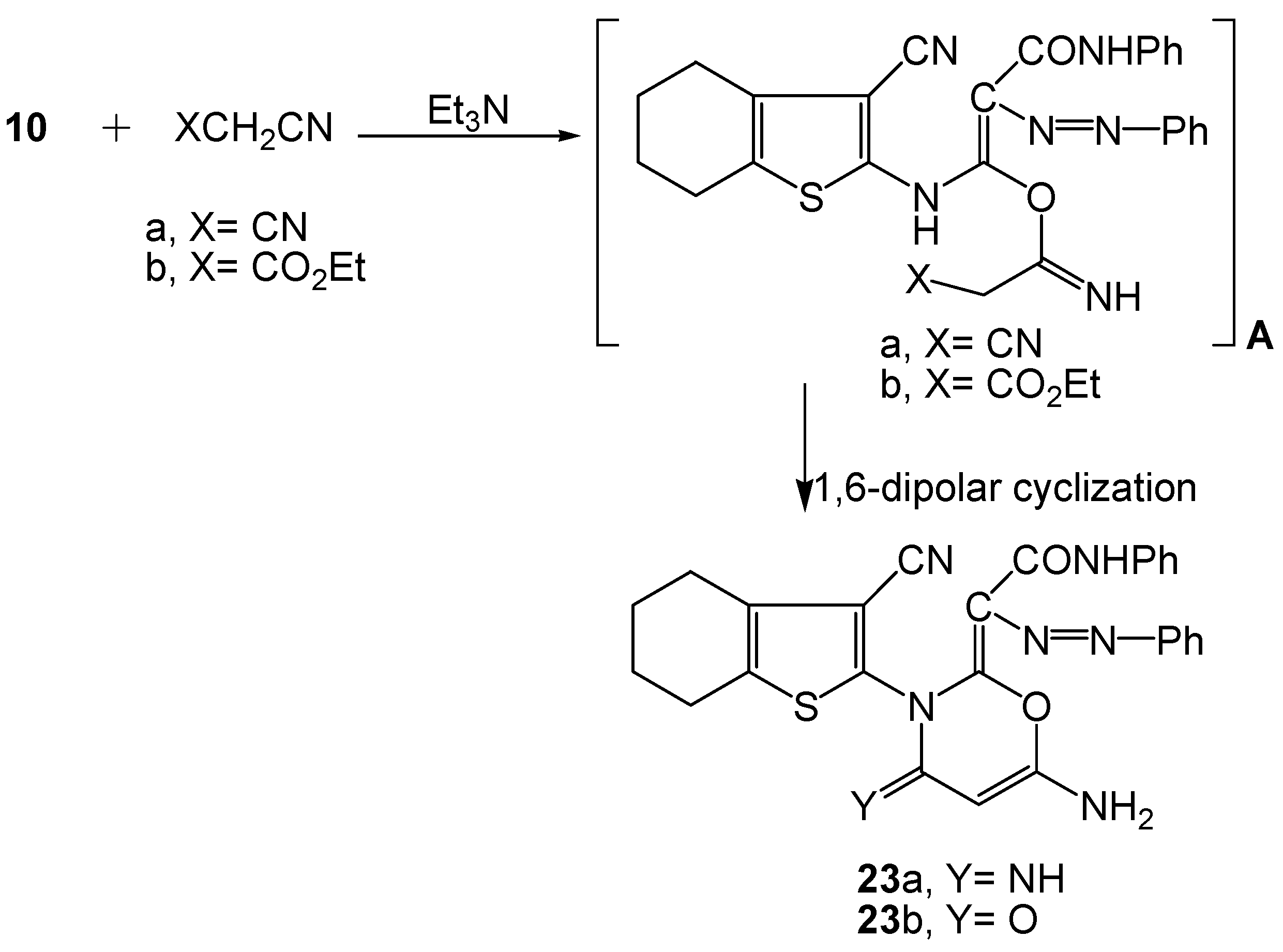 Molecules 16 06271 g009