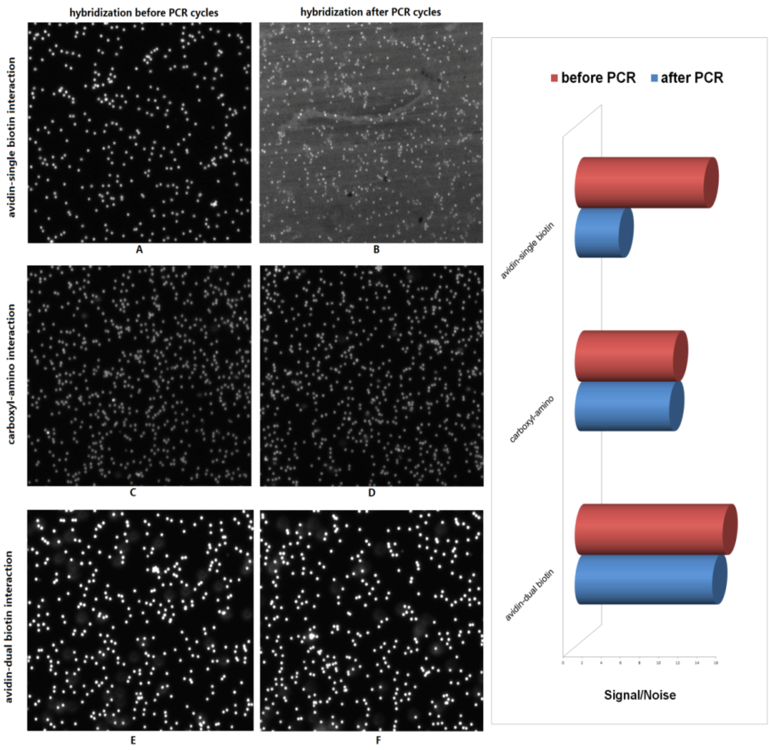 Molecules 16 07365 g001 550