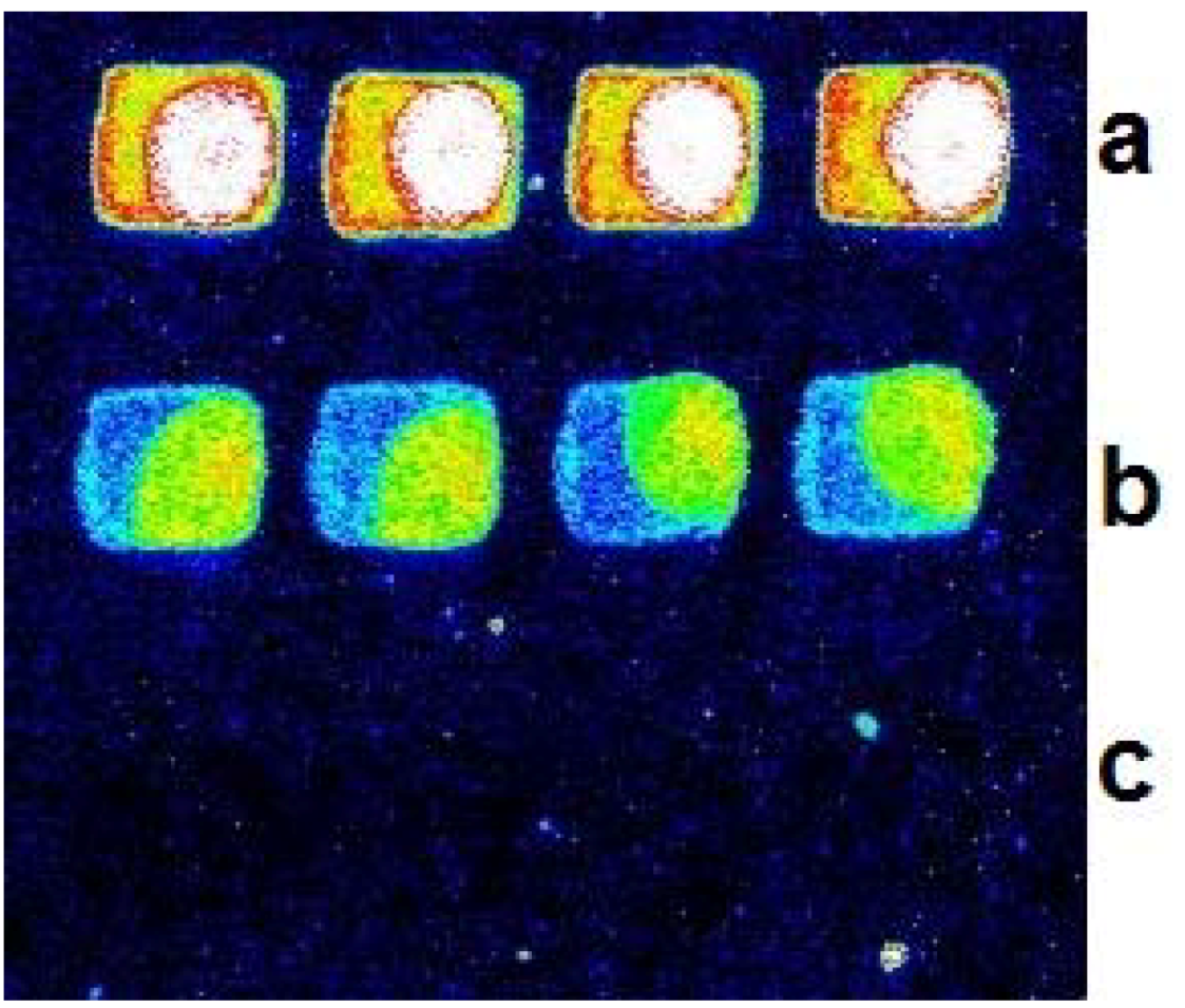 Molecules 16 07365 g002 550