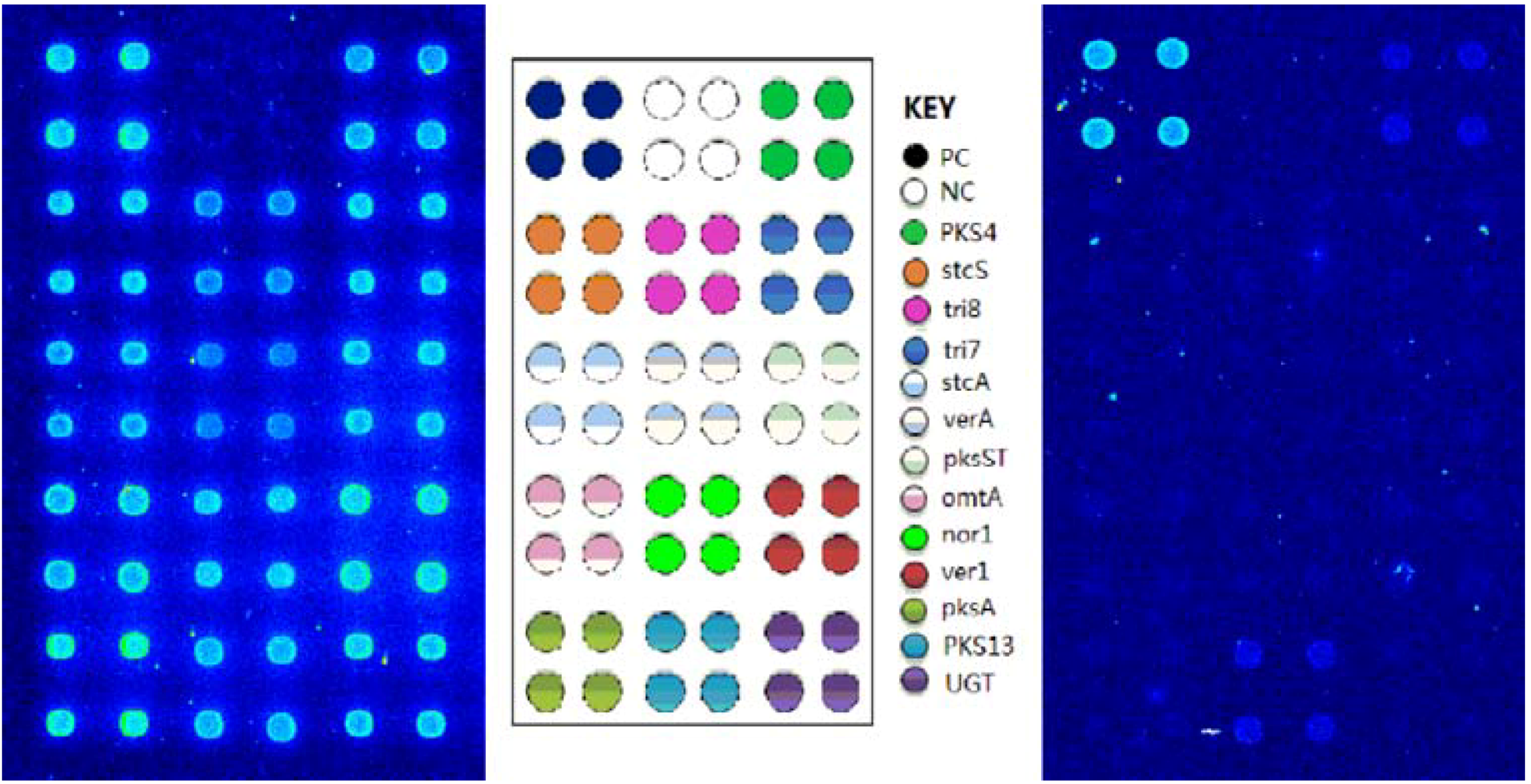 Molecules 16 07365 g004 550