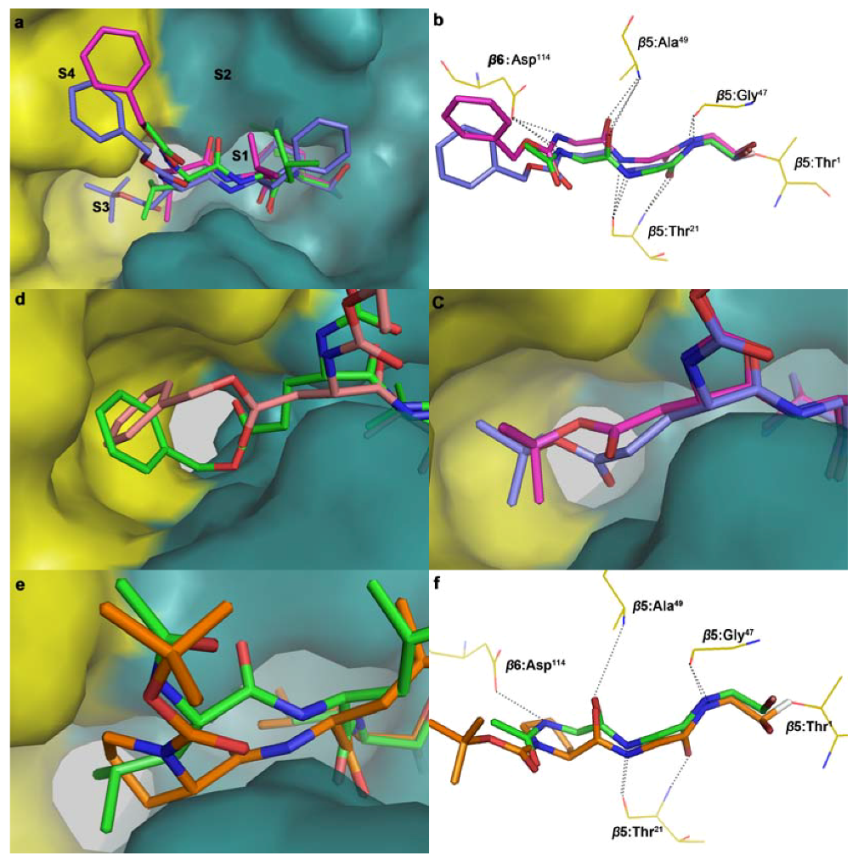 Molecules 16 07551 g002 550