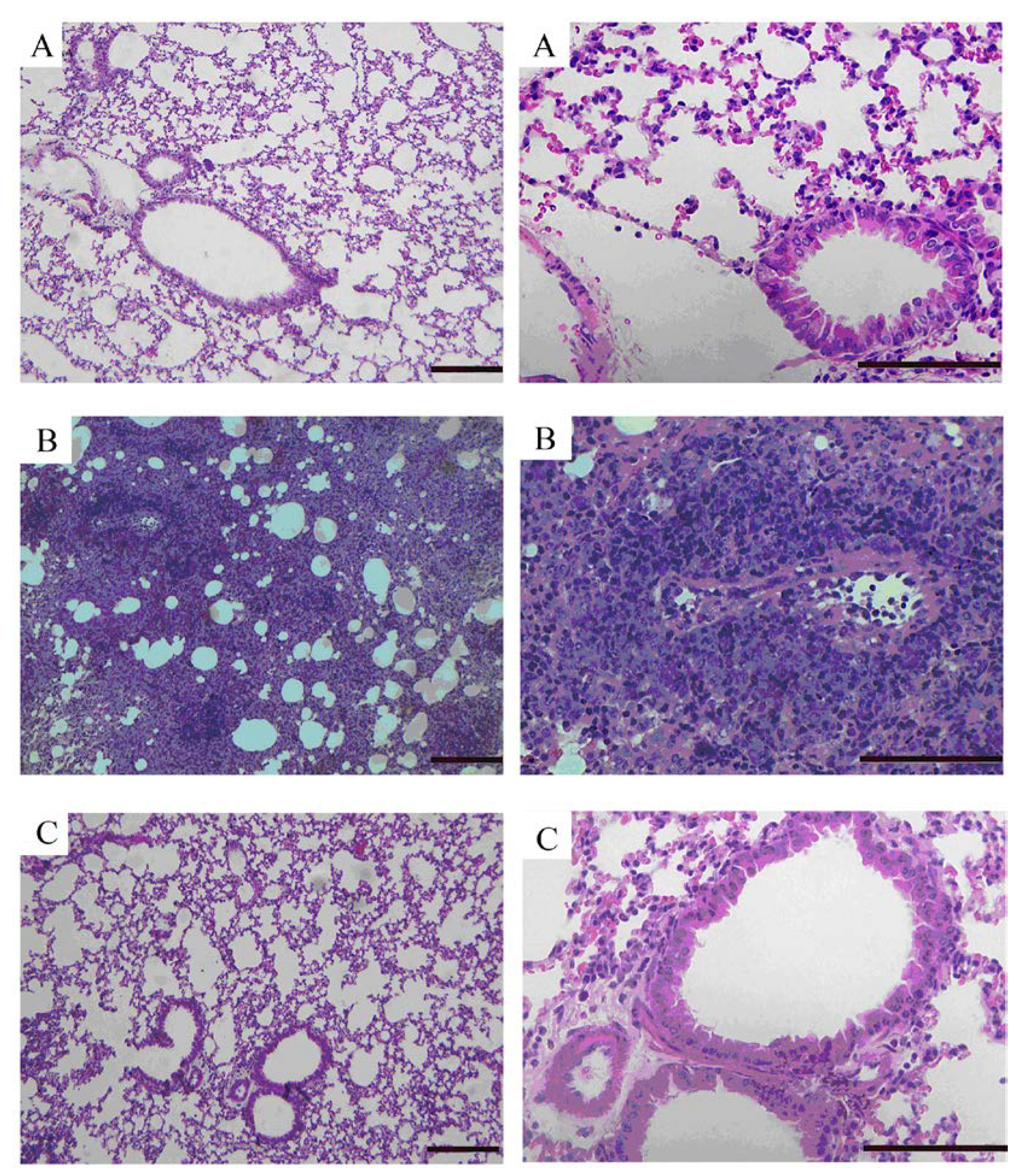 Molecules 16 07634 g005 550