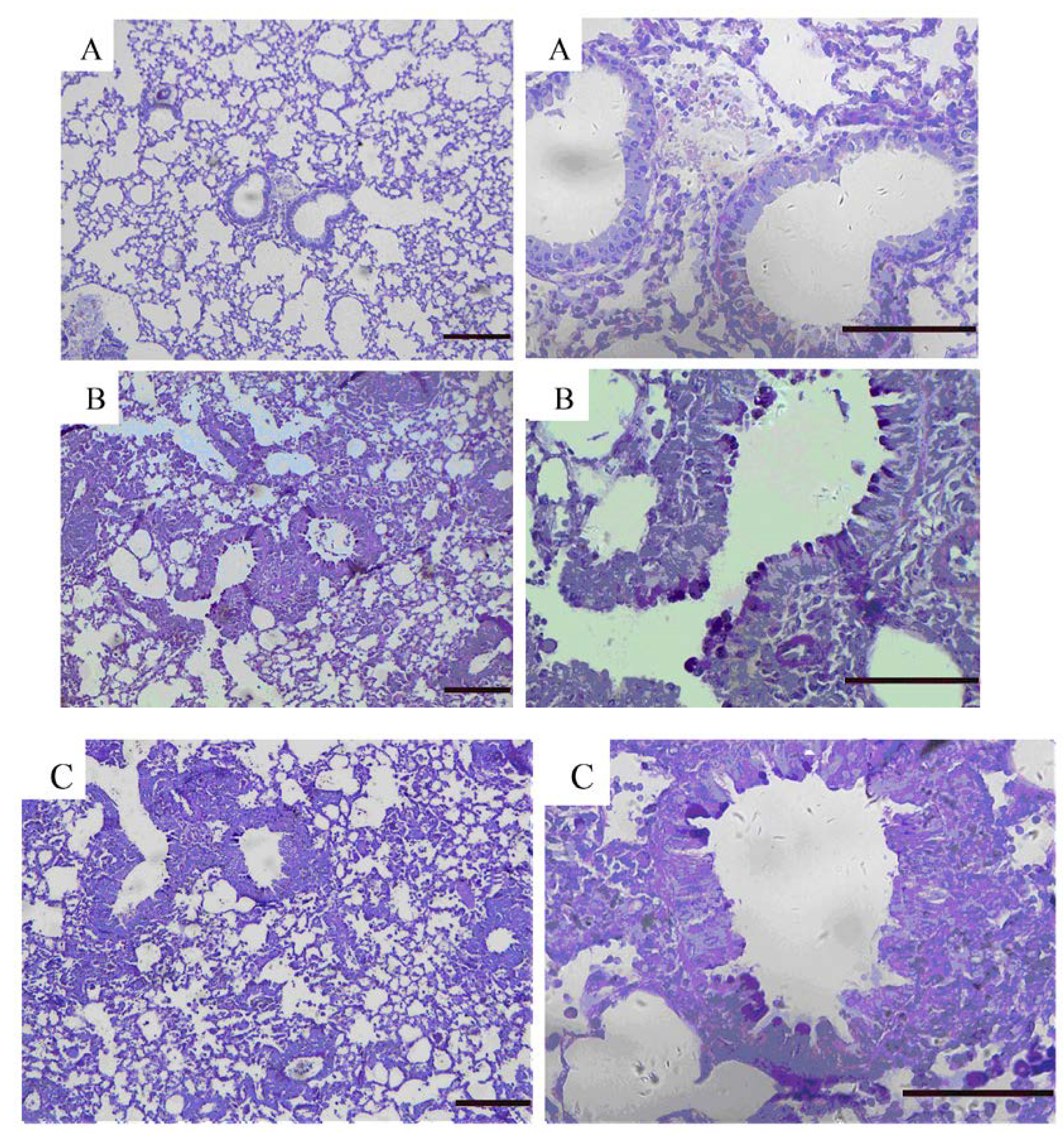 Molecules 16 07634 g006 550