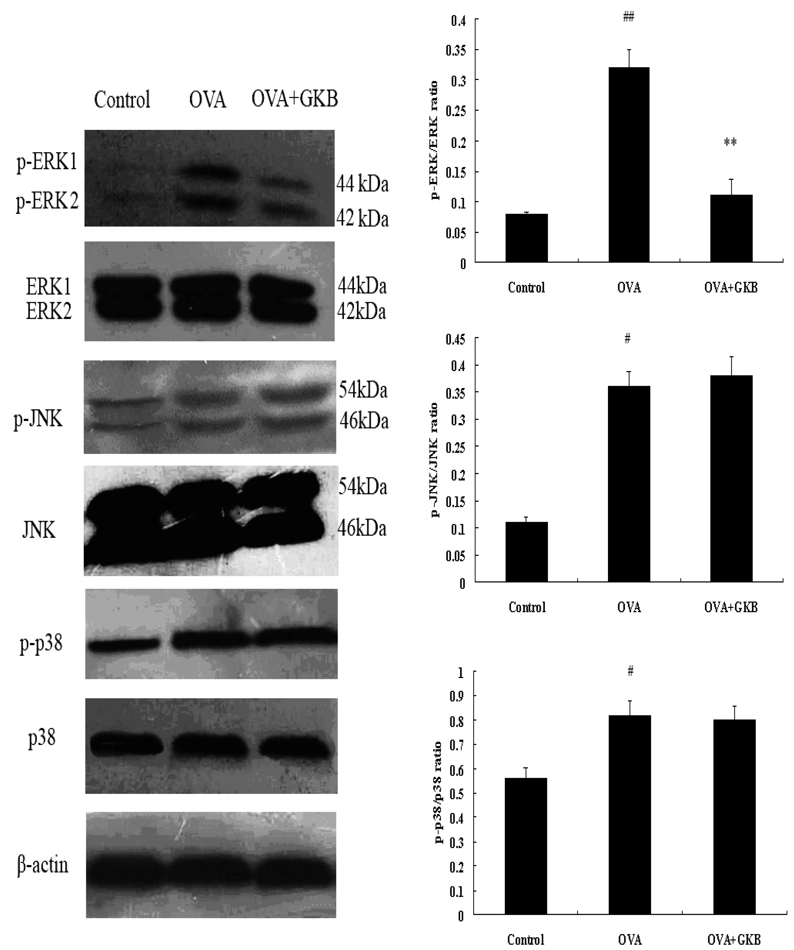 Molecules 16 07634 g007 550