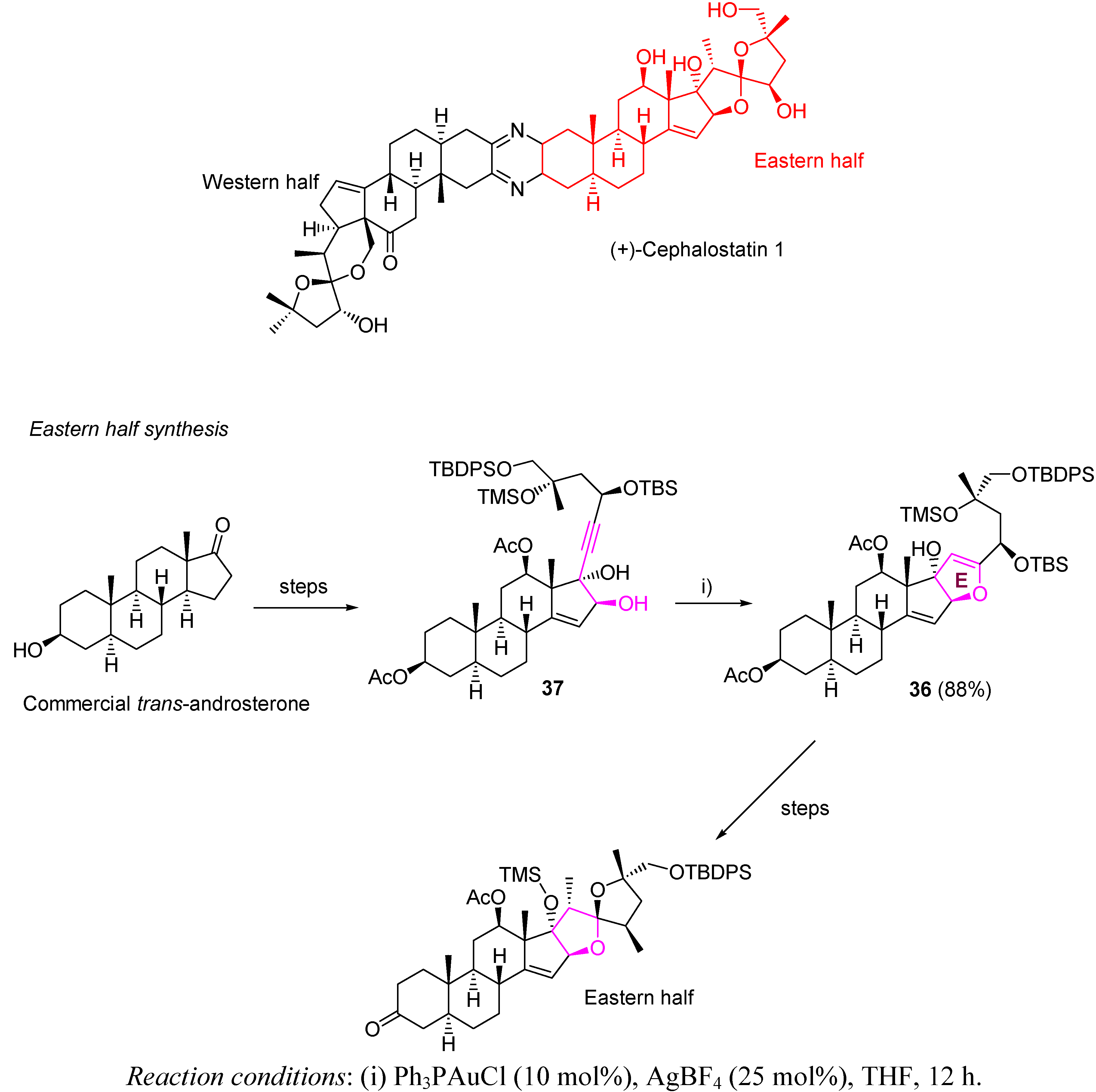 Molecules 16 07815 g017