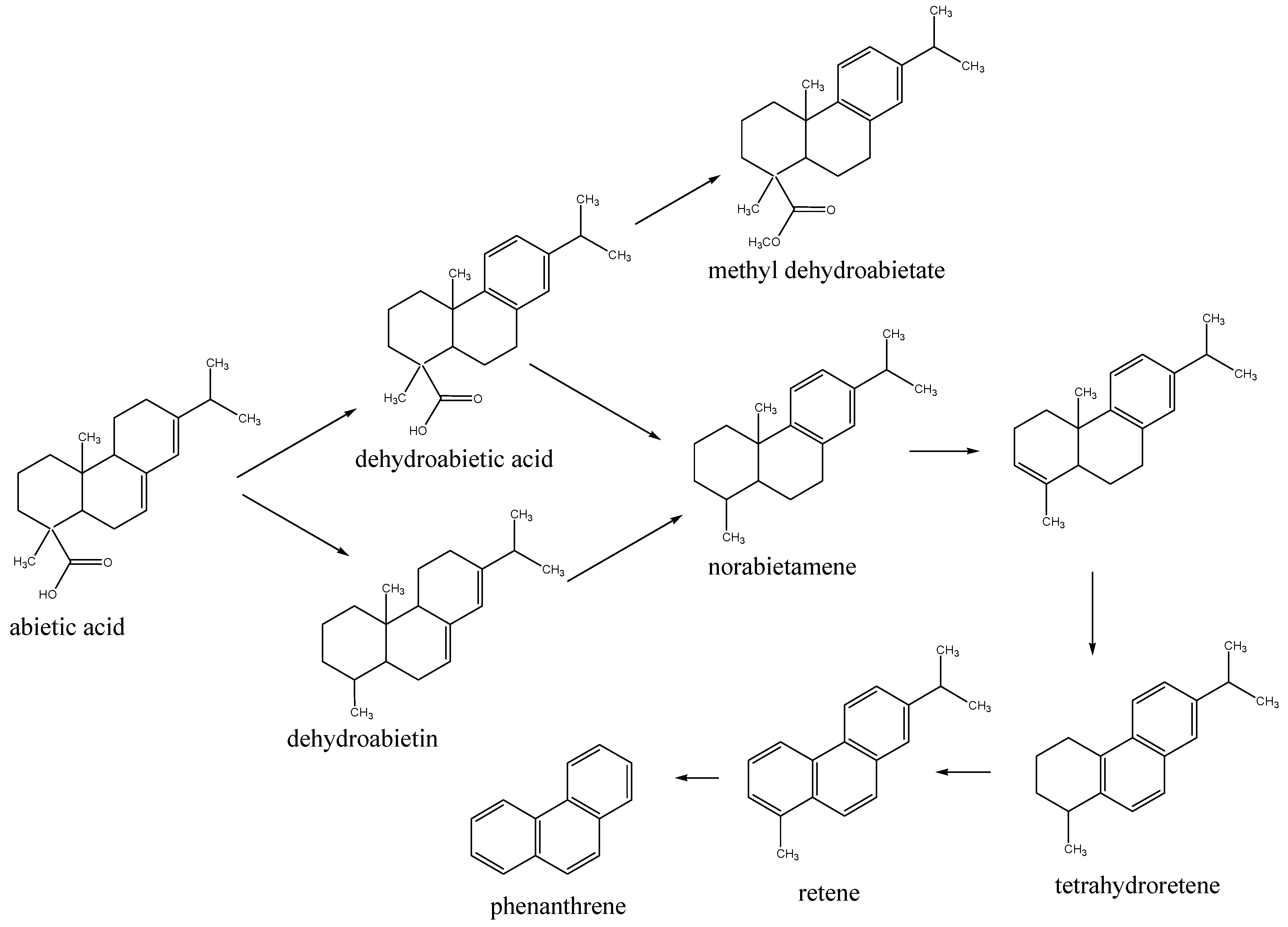 Molecules 16 07936 sch001 550