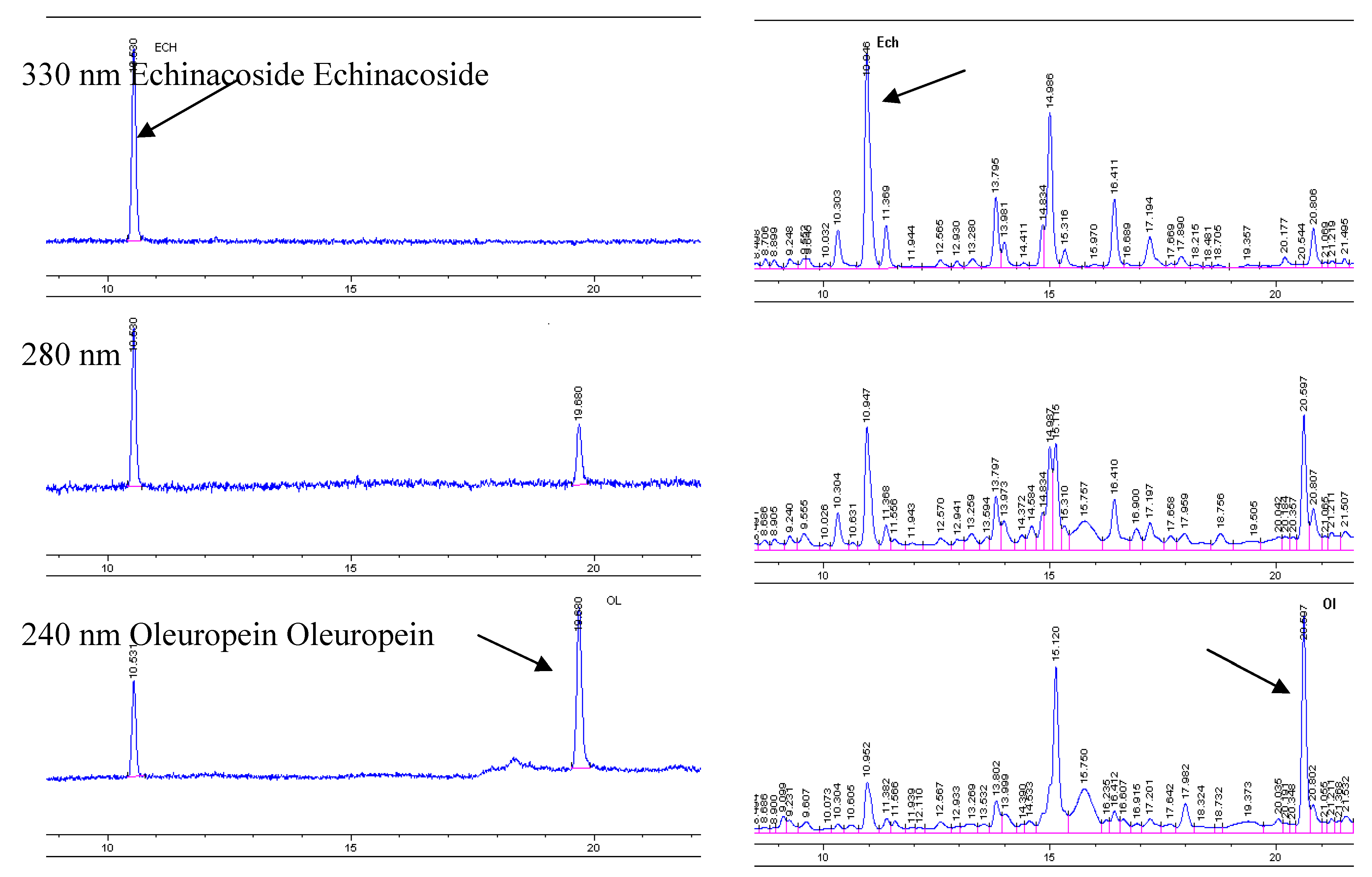 Figure 1. HPLC chromatograms of echinacoside and oleuropein standard solutions and a lyophilized water infusion of Ligustrum vulgare L. leaves.