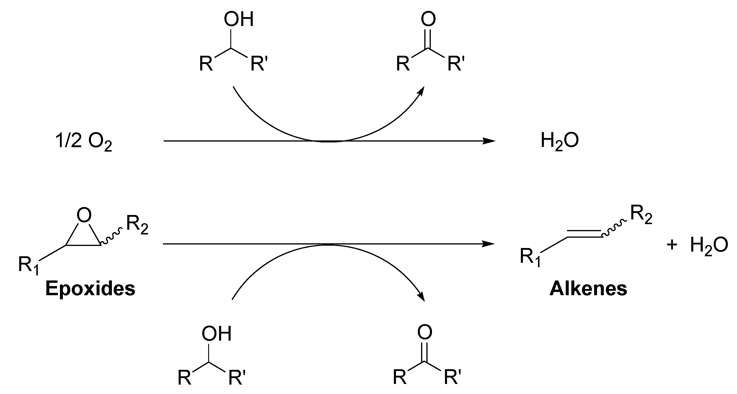 Molecules 16 08209 g008 550