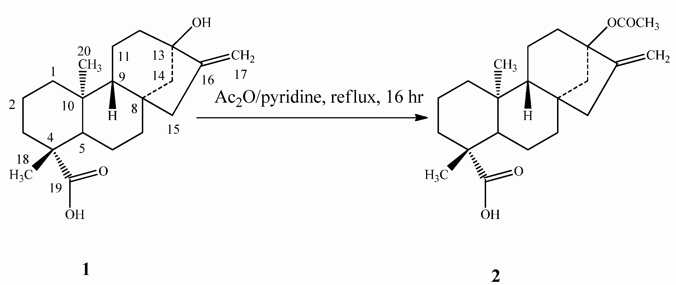 Molecules 16 08402 g001