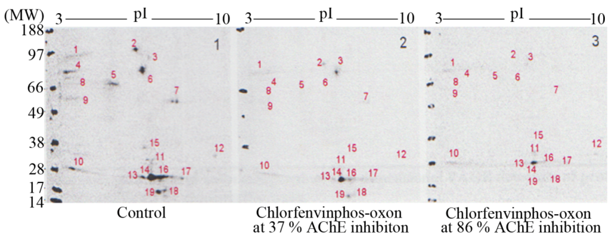 Molecules 16 08535 g004 550