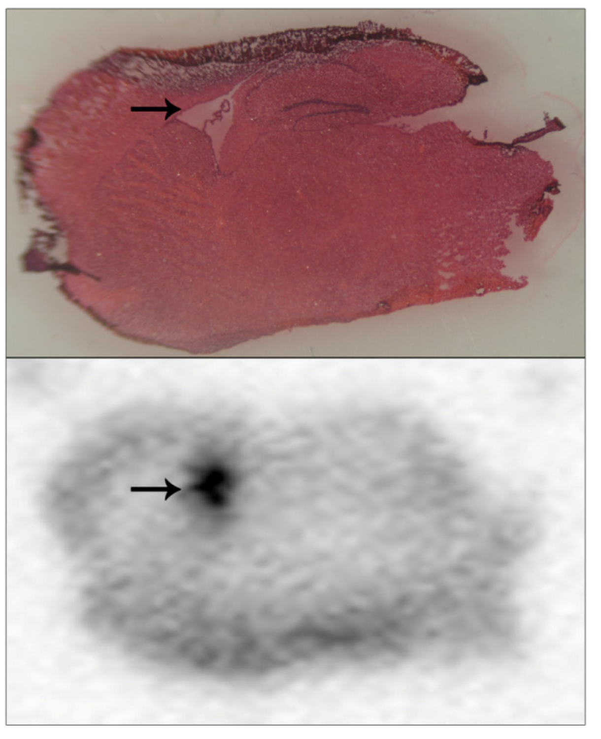Molecules 16 08535 g005 550