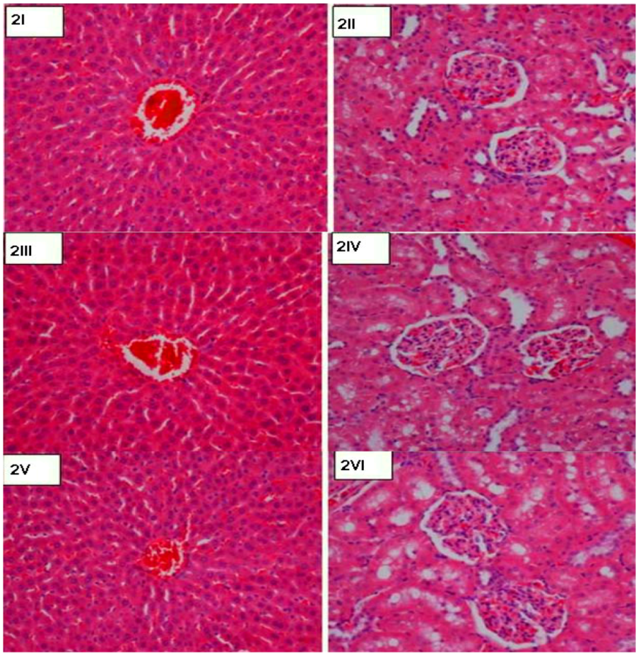 Molecules 16 08654 g002