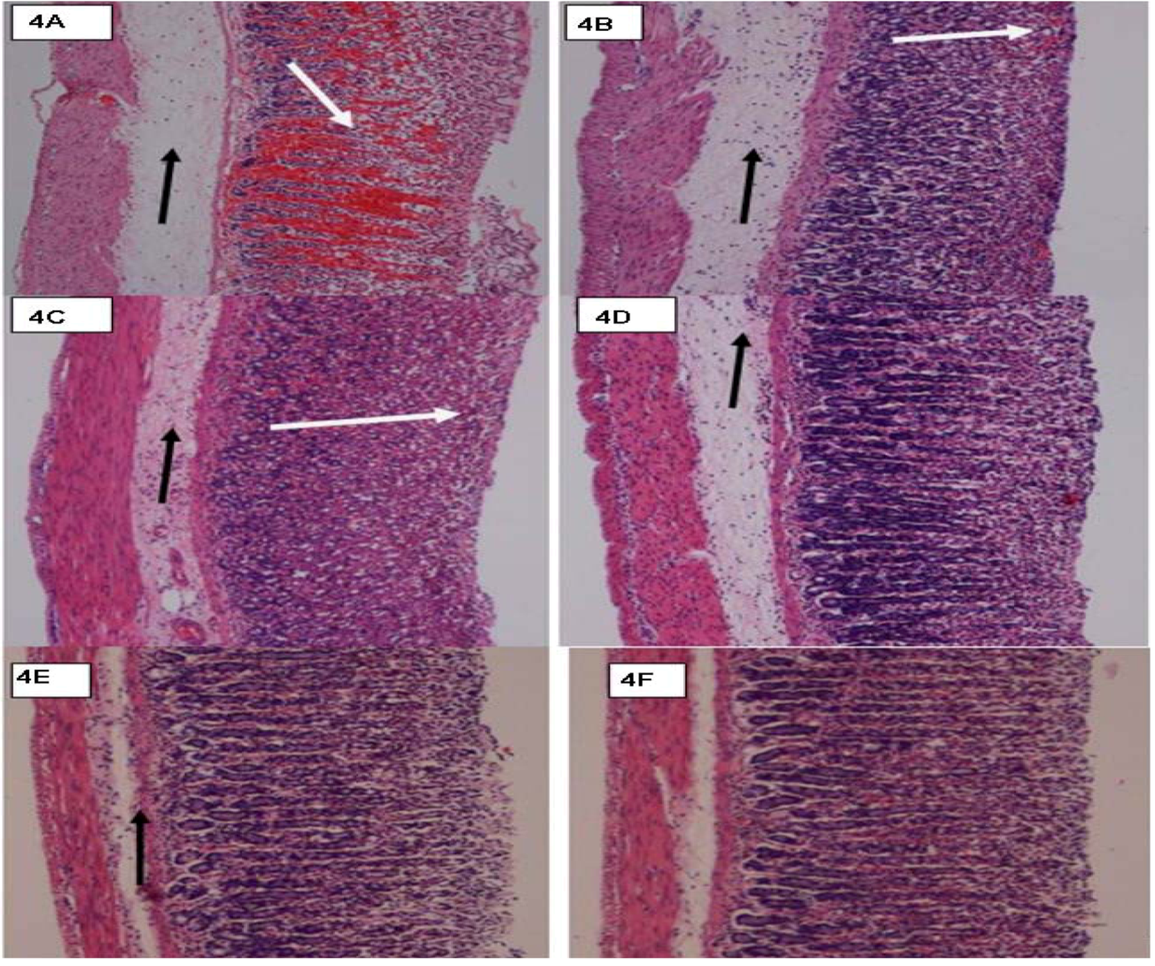 Molecules 16 08654 g004