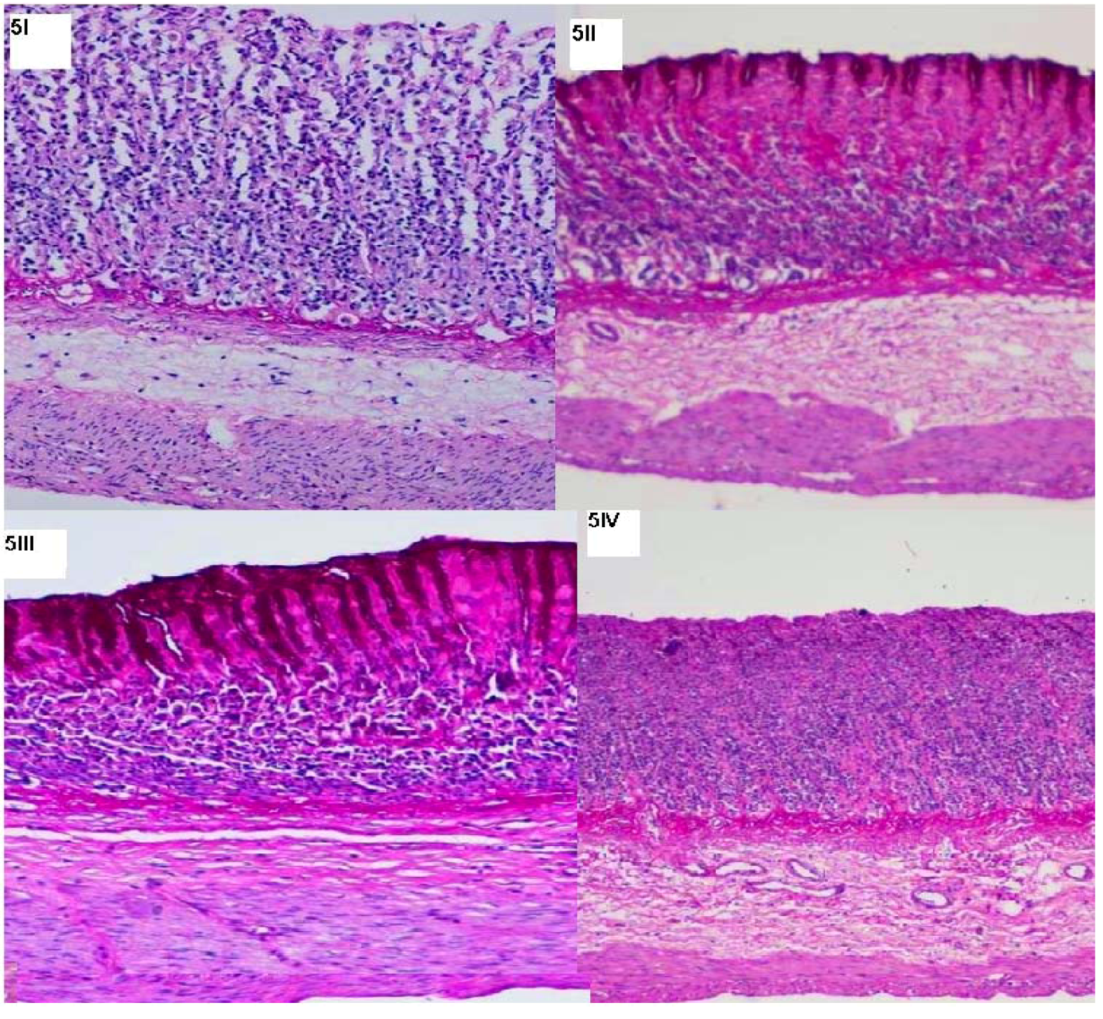 Molecules 16 08654 g005