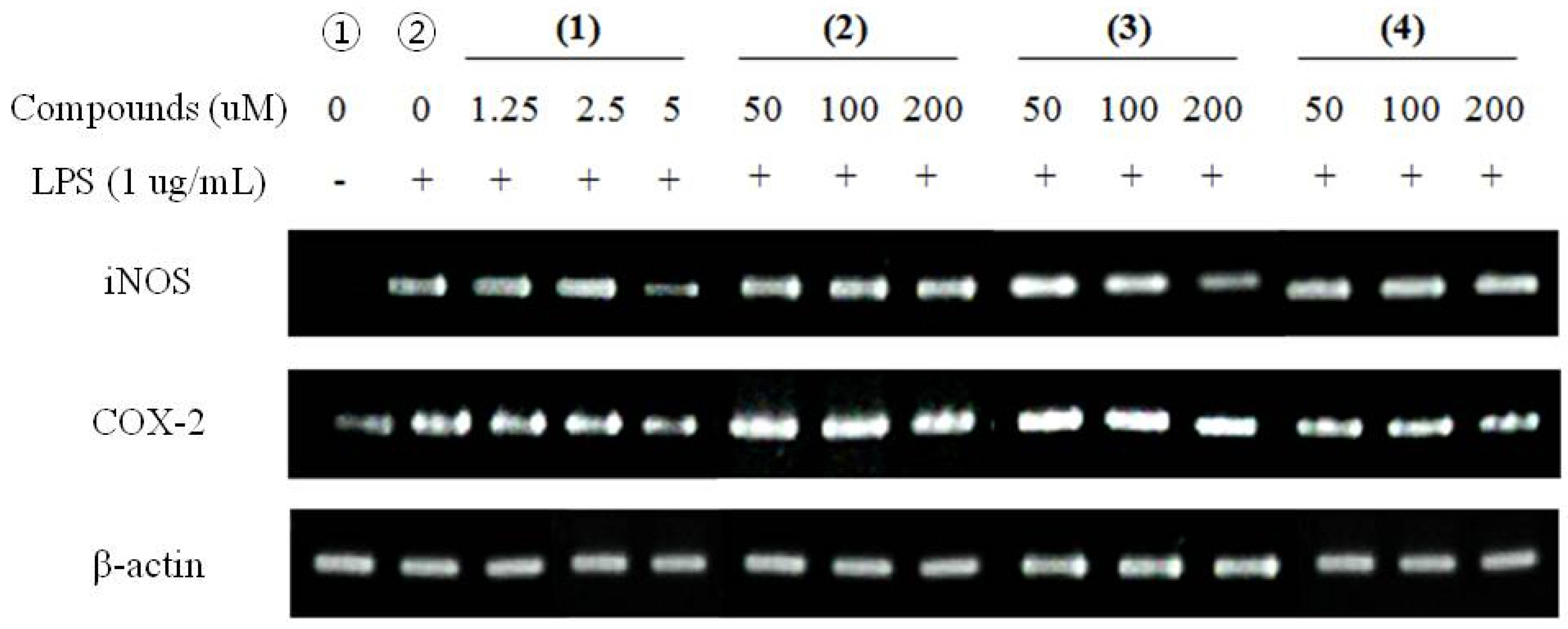 Molecules 16 08833 g004 550