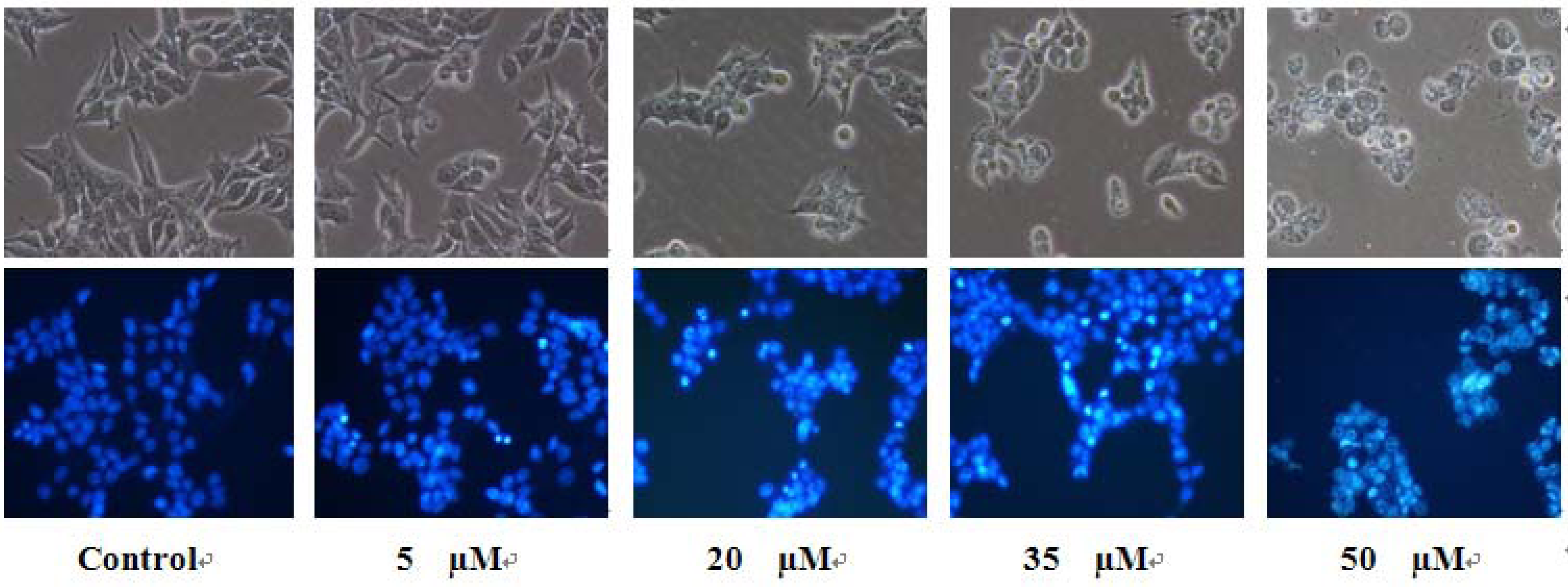 Molecules 16 08833 g007 550
