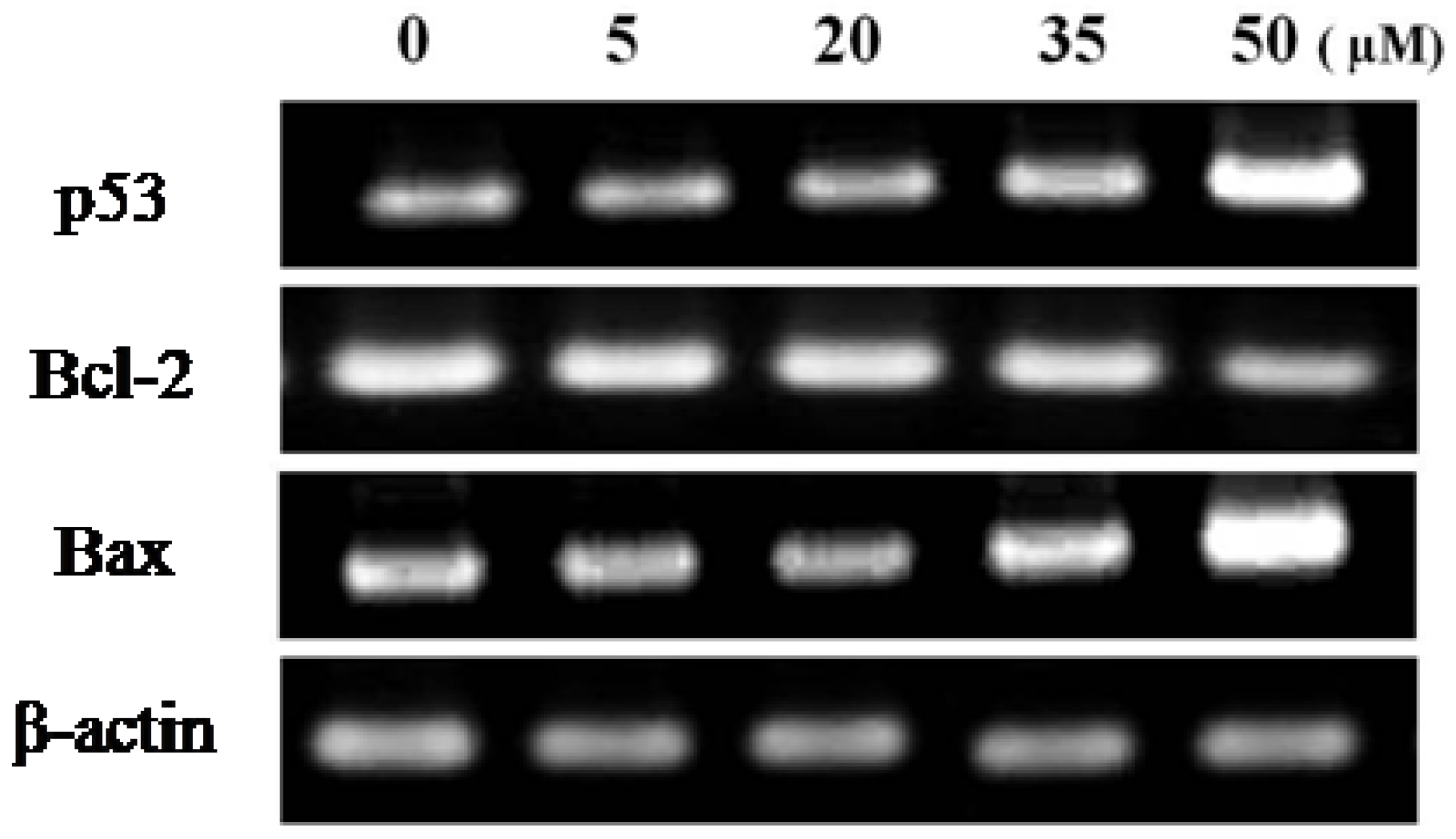 Molecules 16 08833 g008 550