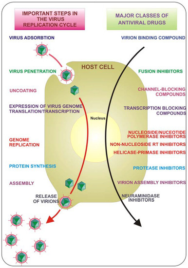 Molecules 16 08894 g001 550