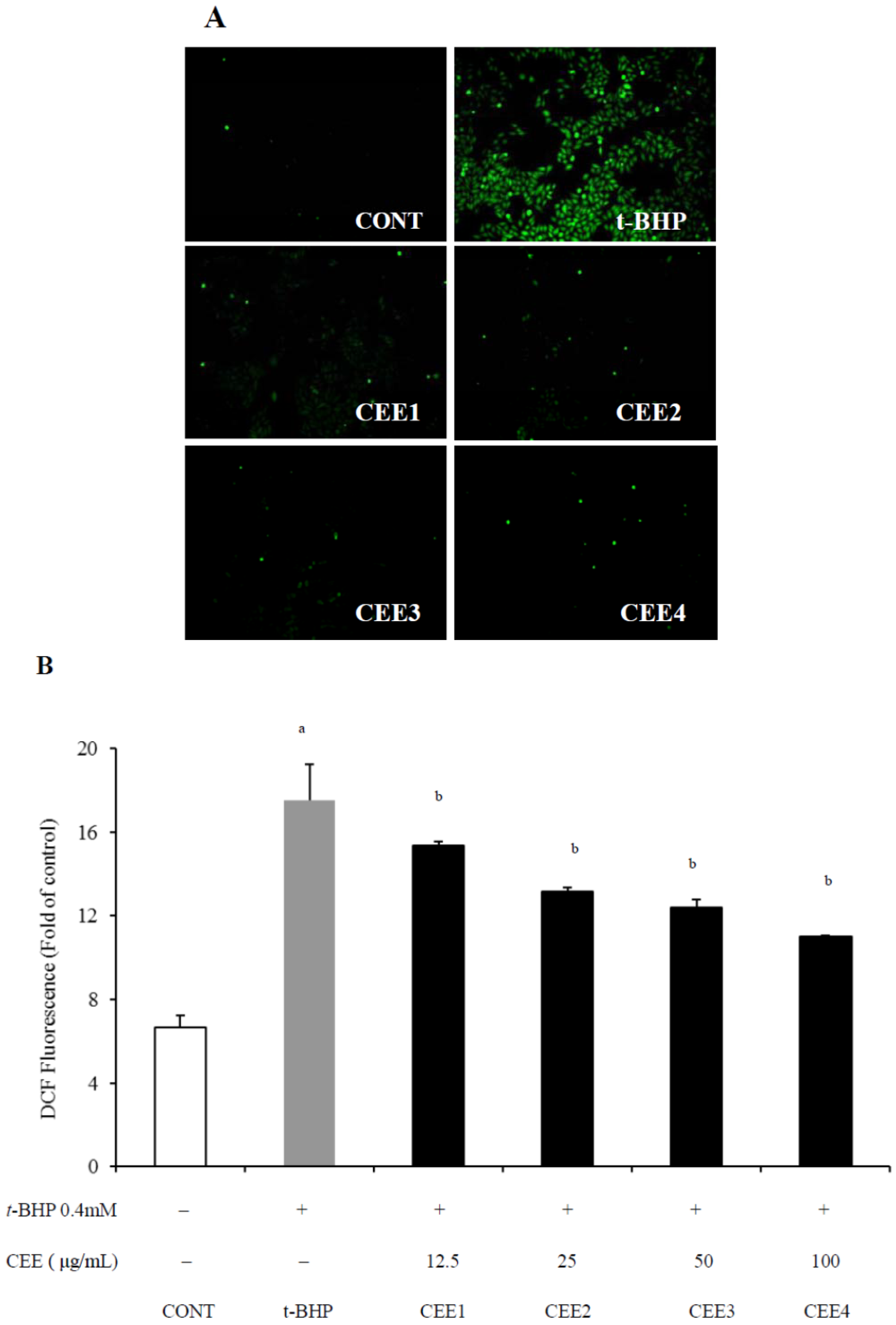 Molecules 16 09049 g002