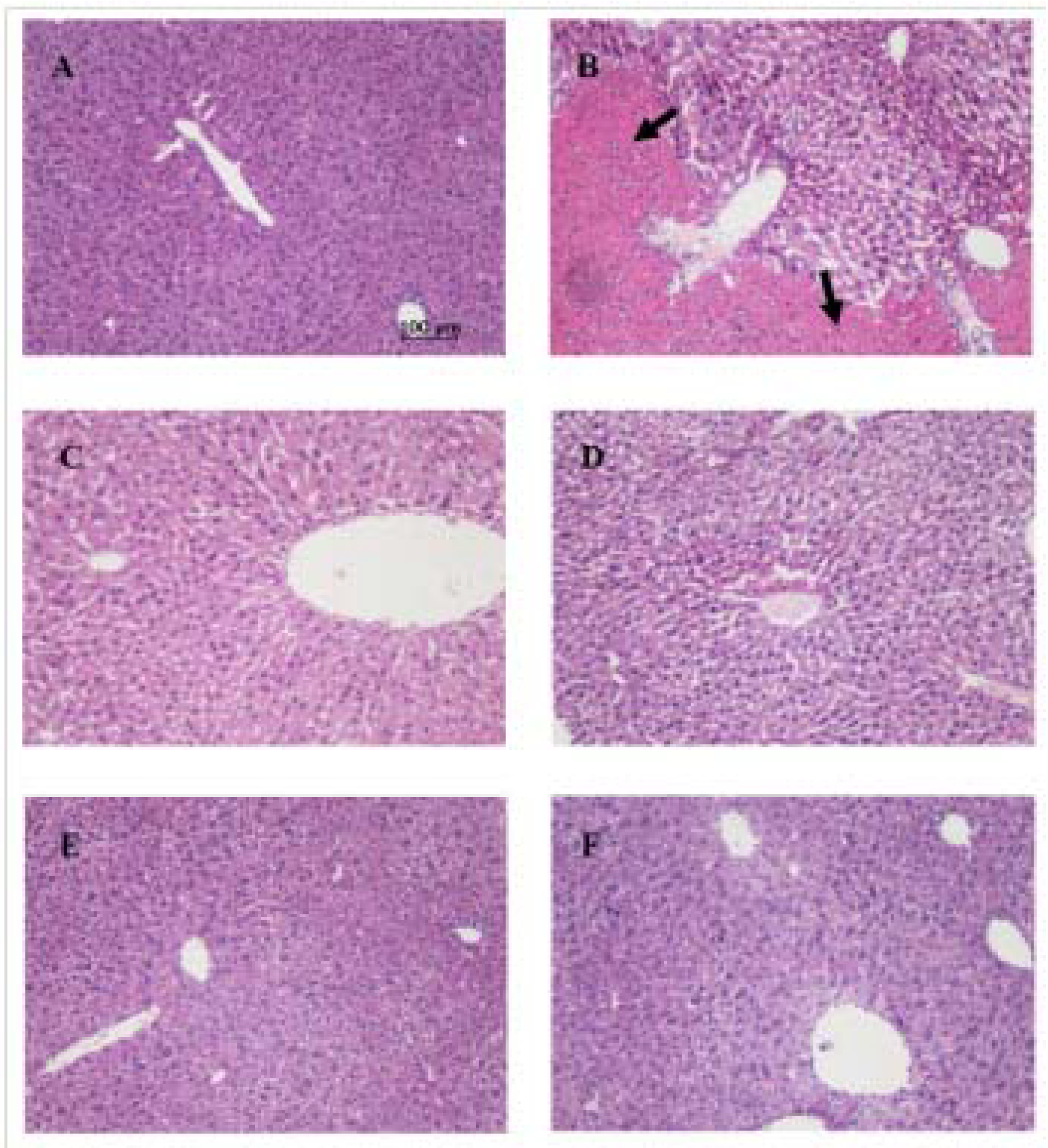 Molecules 16 09049 g003