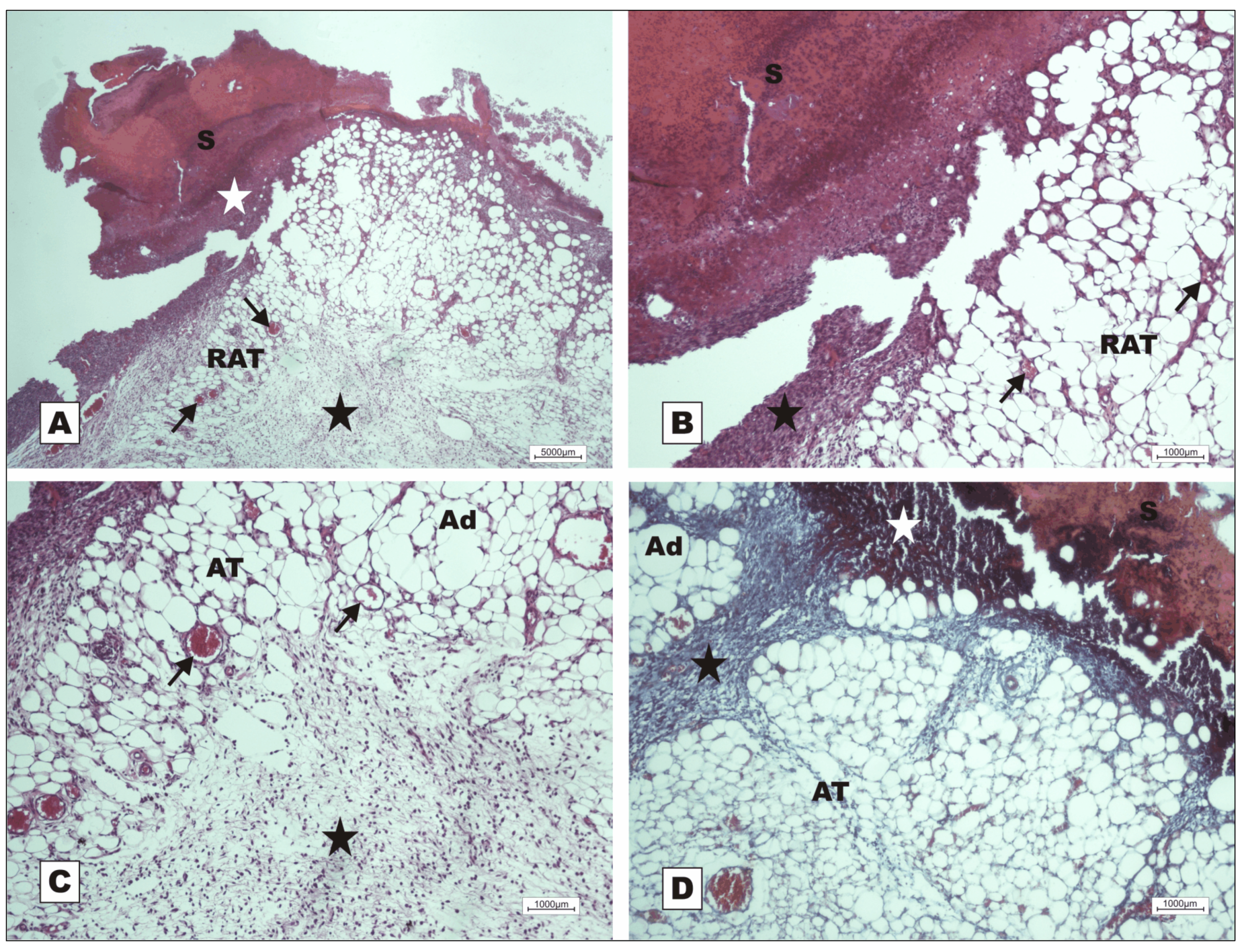 Molecules 16 09298 g008