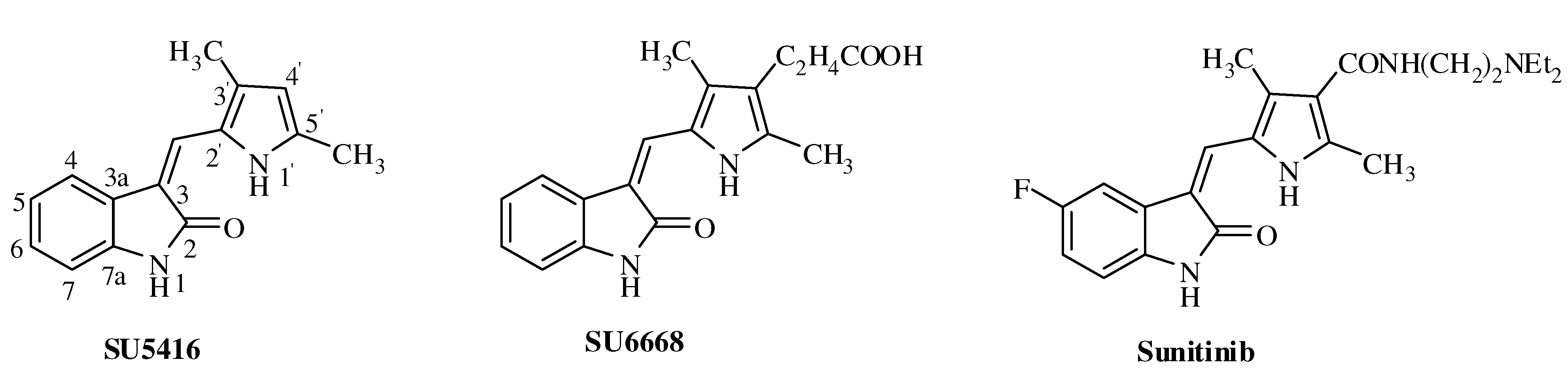 Molecules 16 09368 g001