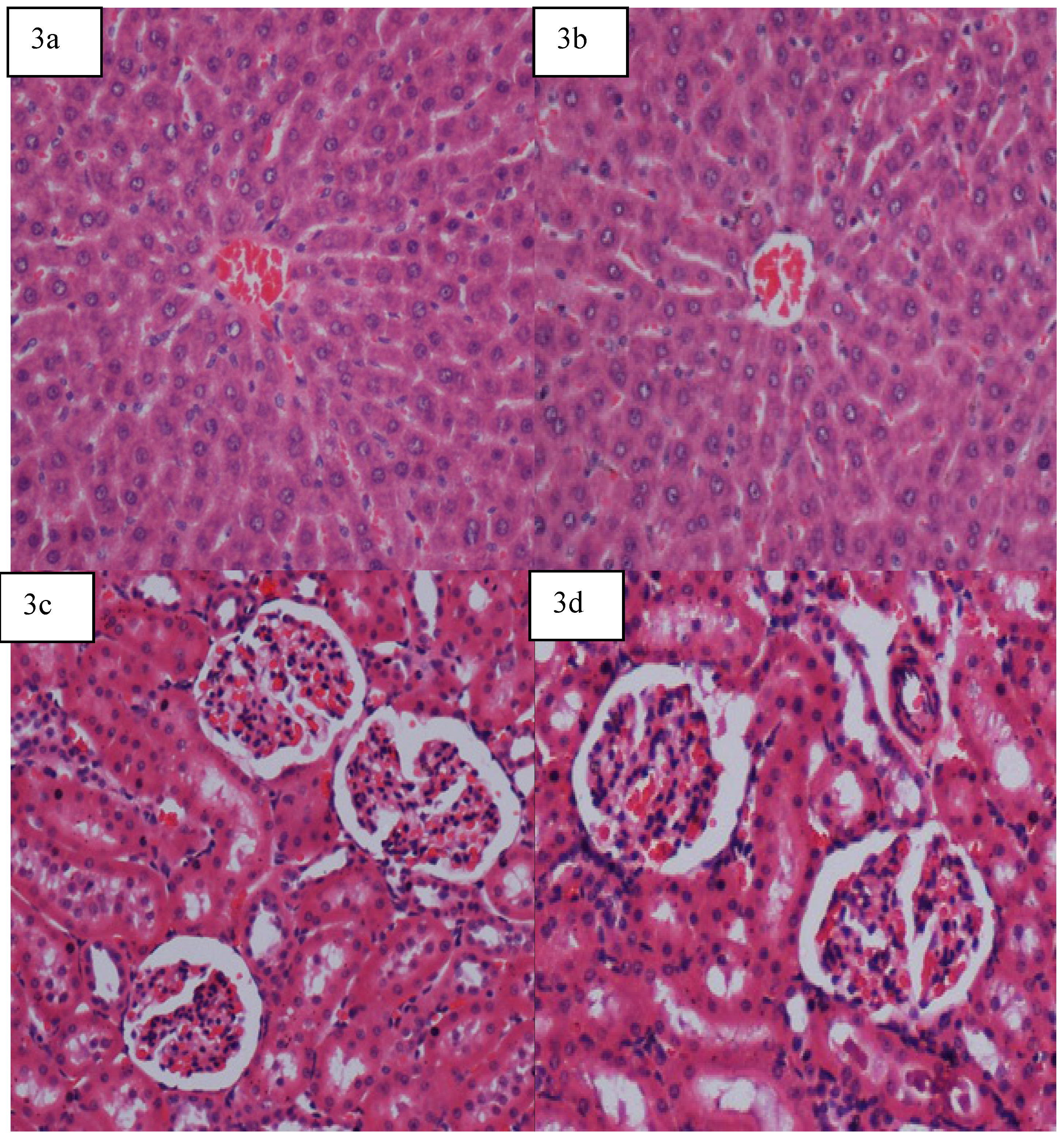 Molecules 16 09534 g003 550