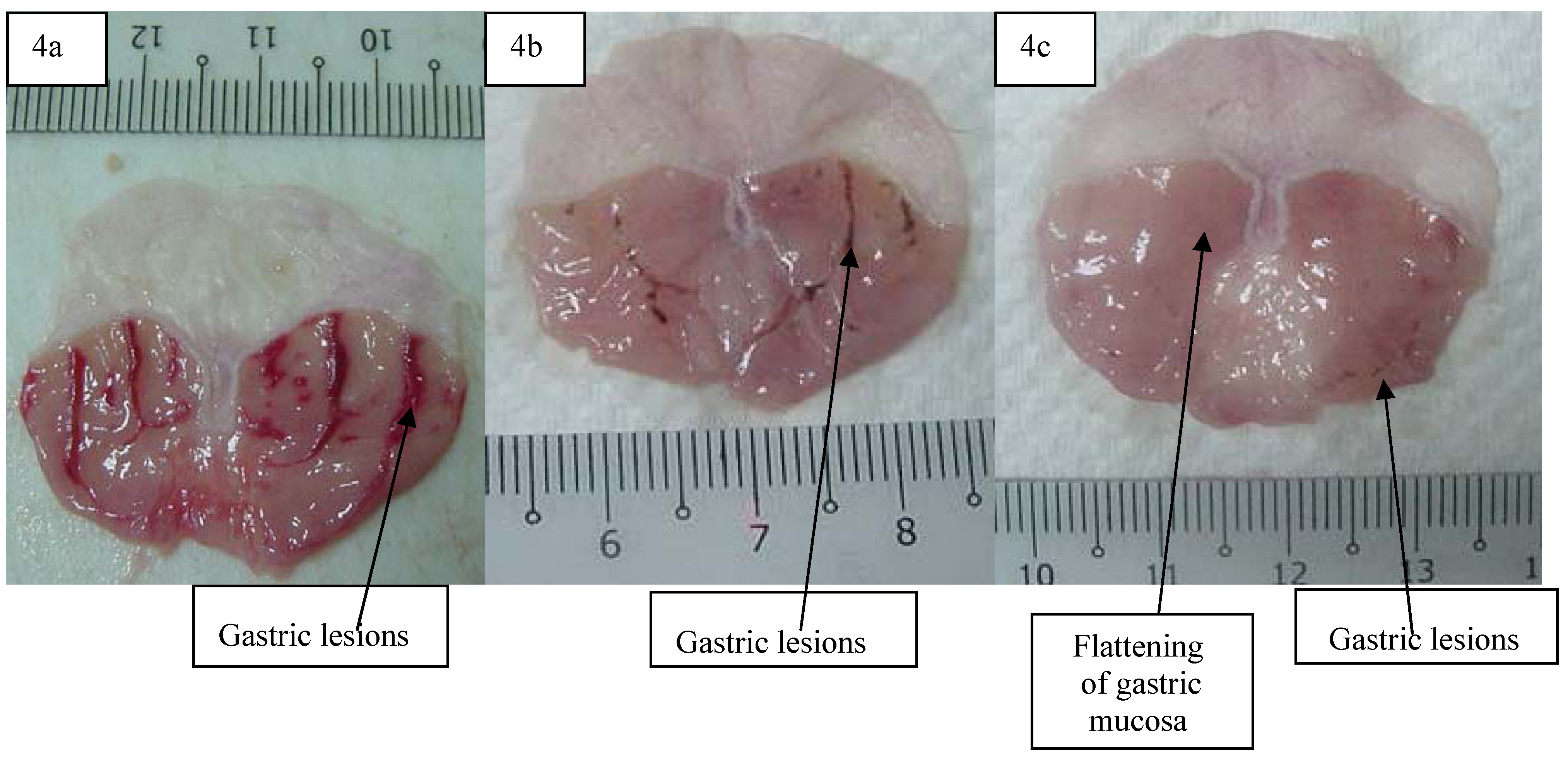 Molecules 16 09534 g004 550