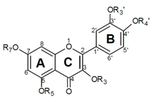 Molecules 16 09636 i001