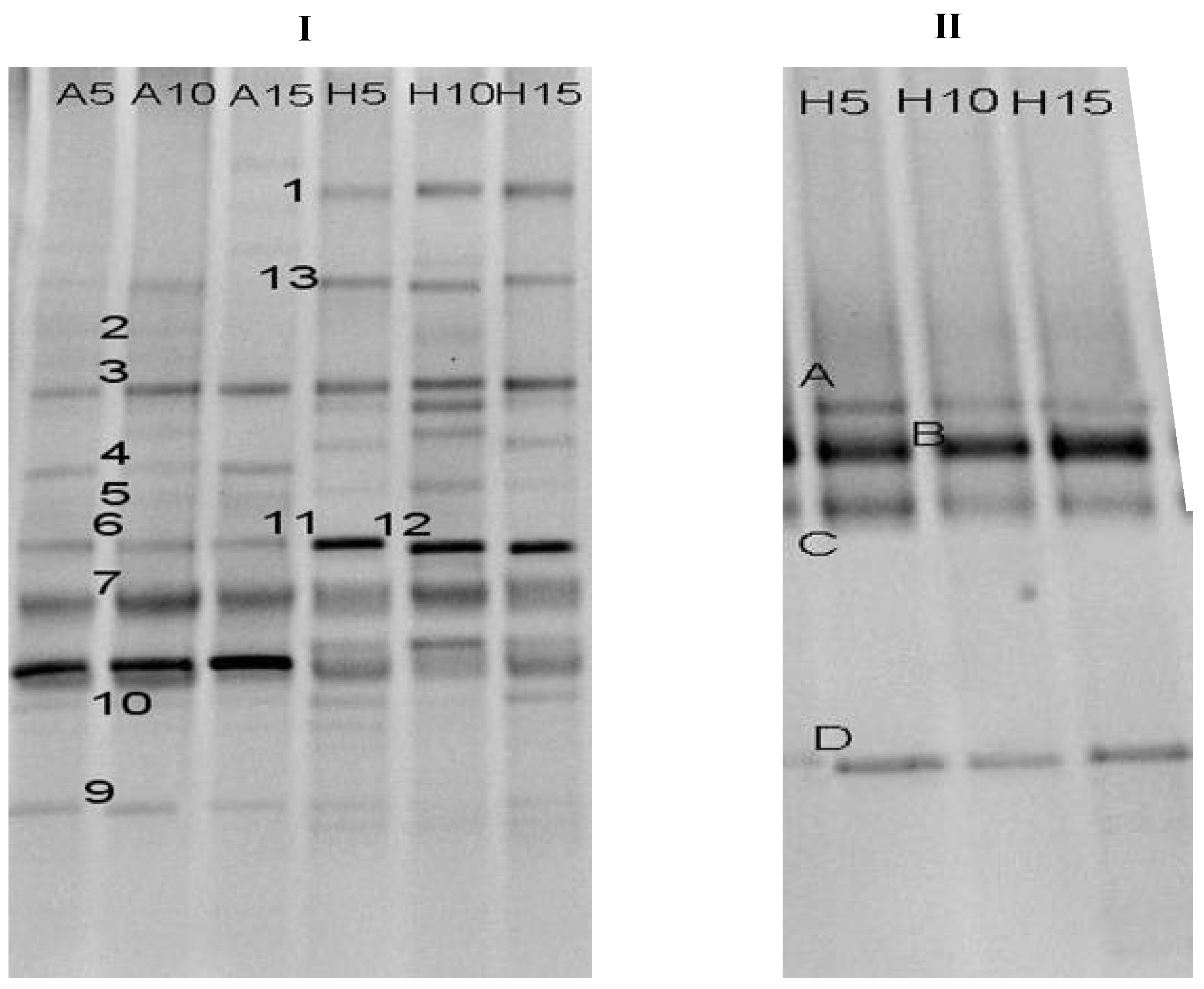 Molecules 16 09838 g003
