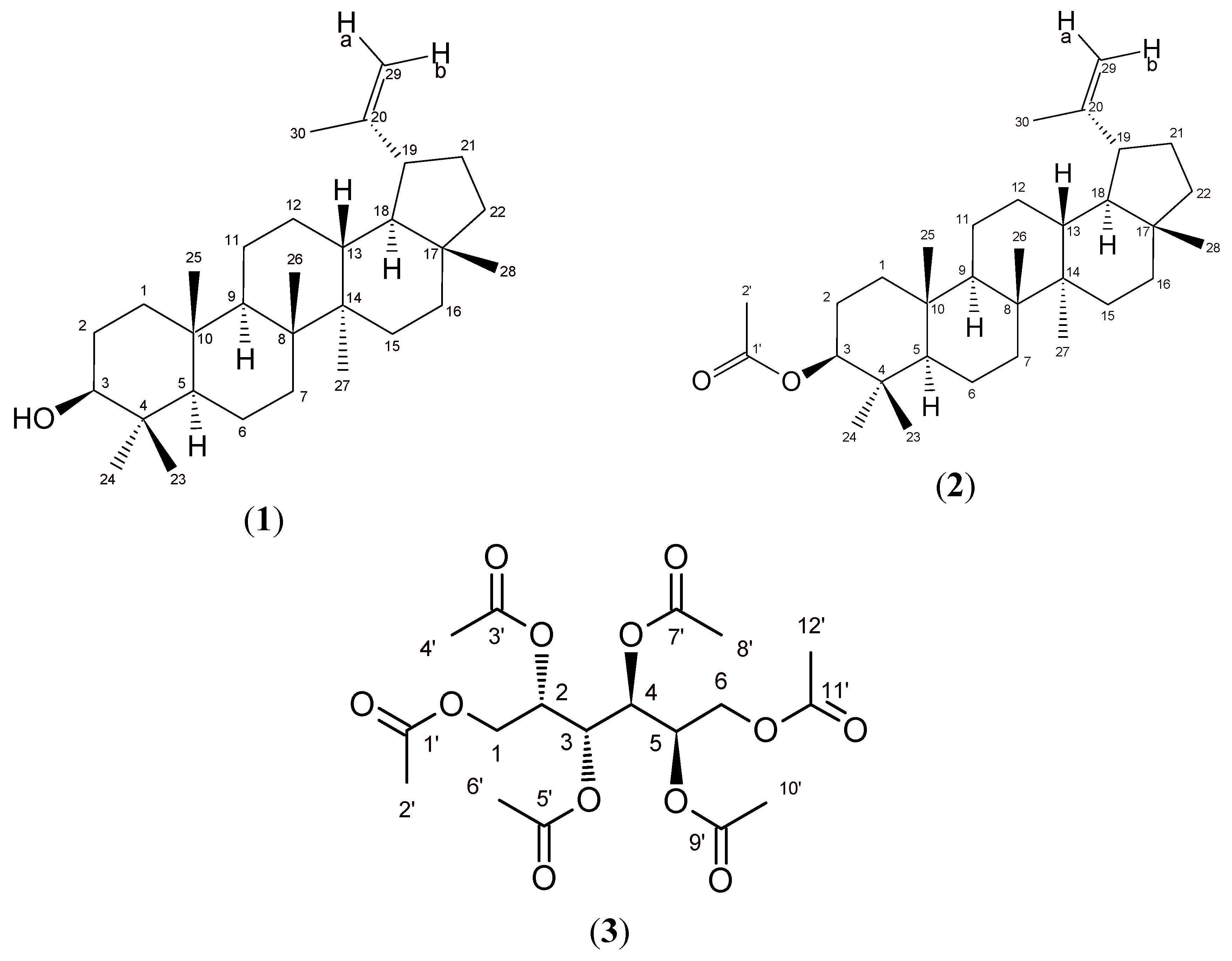 Molecules 16 09939 g001