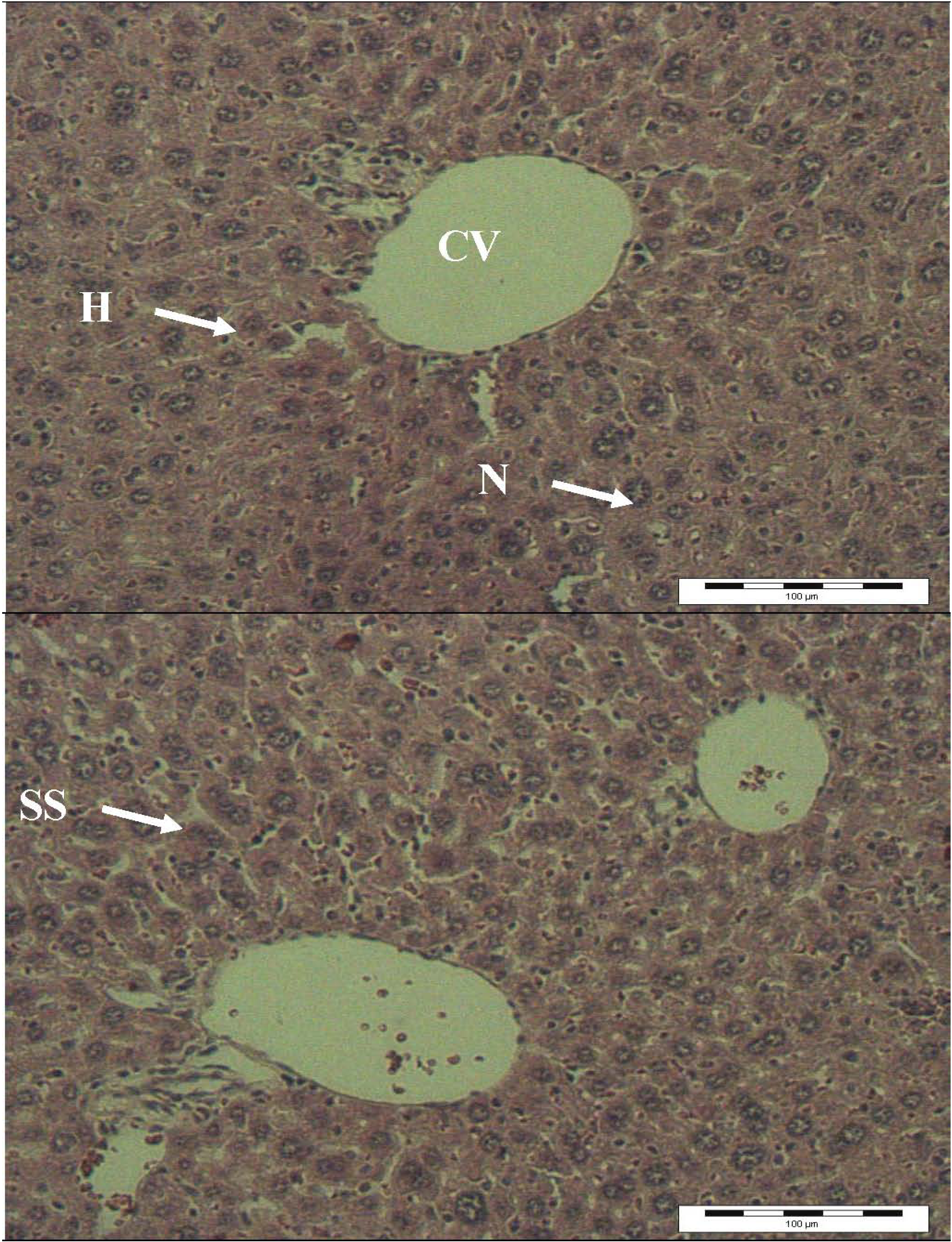 Molecules 16 10134 g002