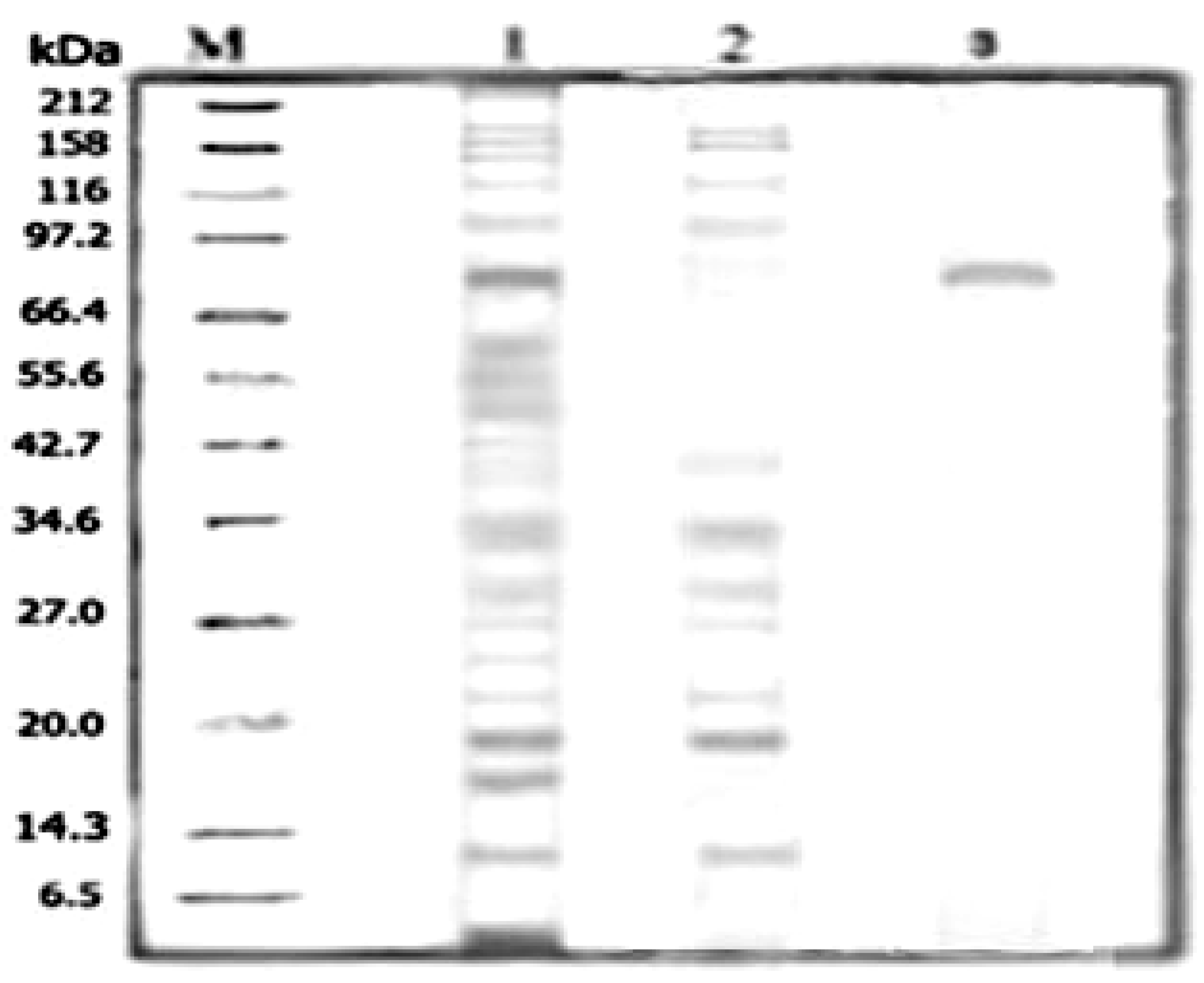 Molecules 16 10202 g002 550