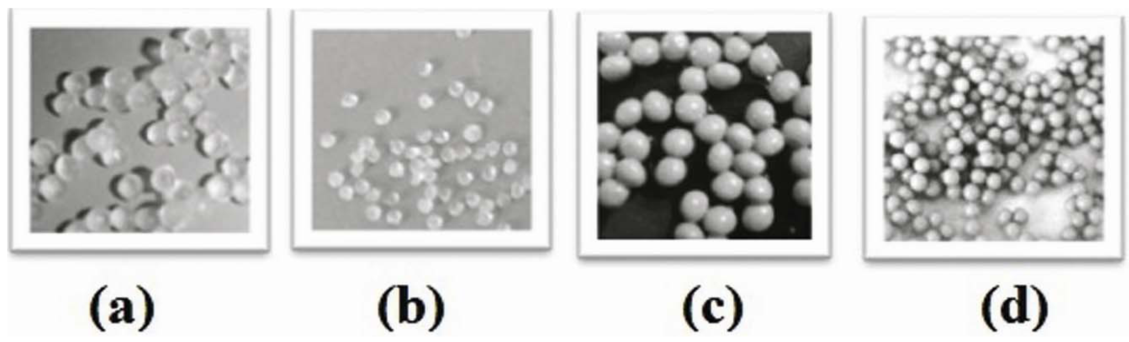 Molecules 16 10347 g001