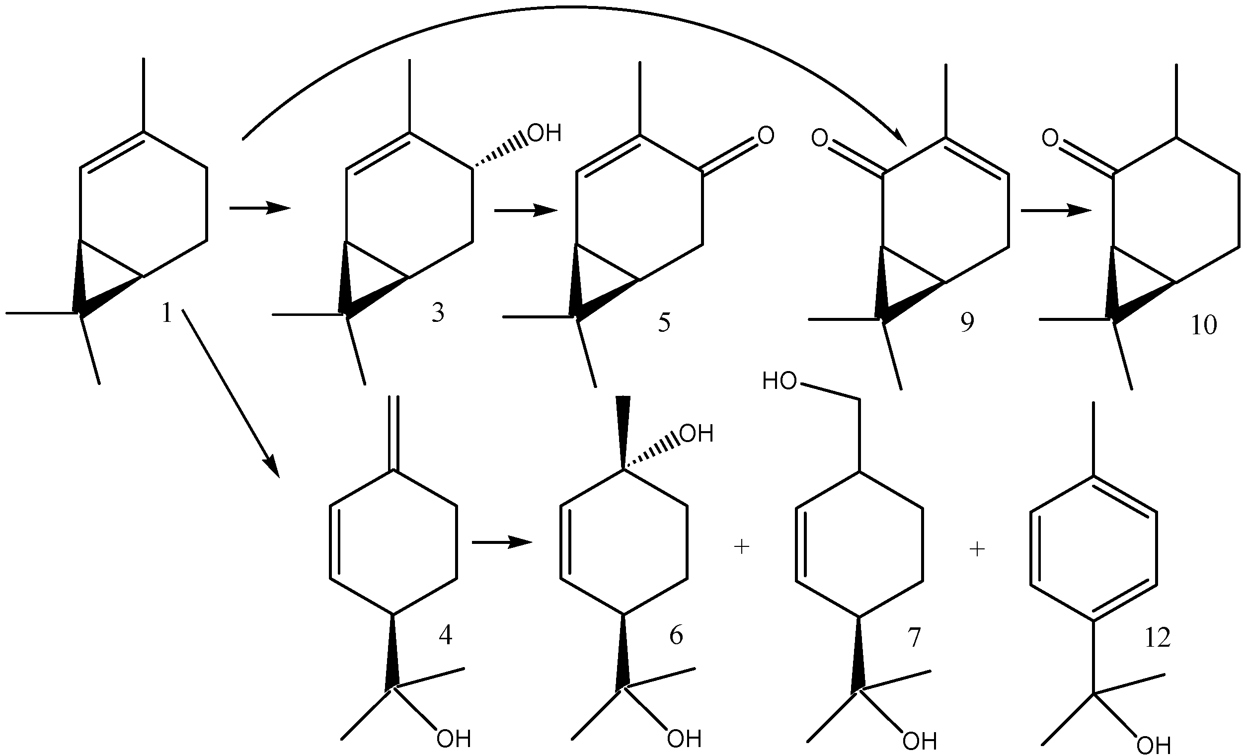 Molecules 16 10541 g003