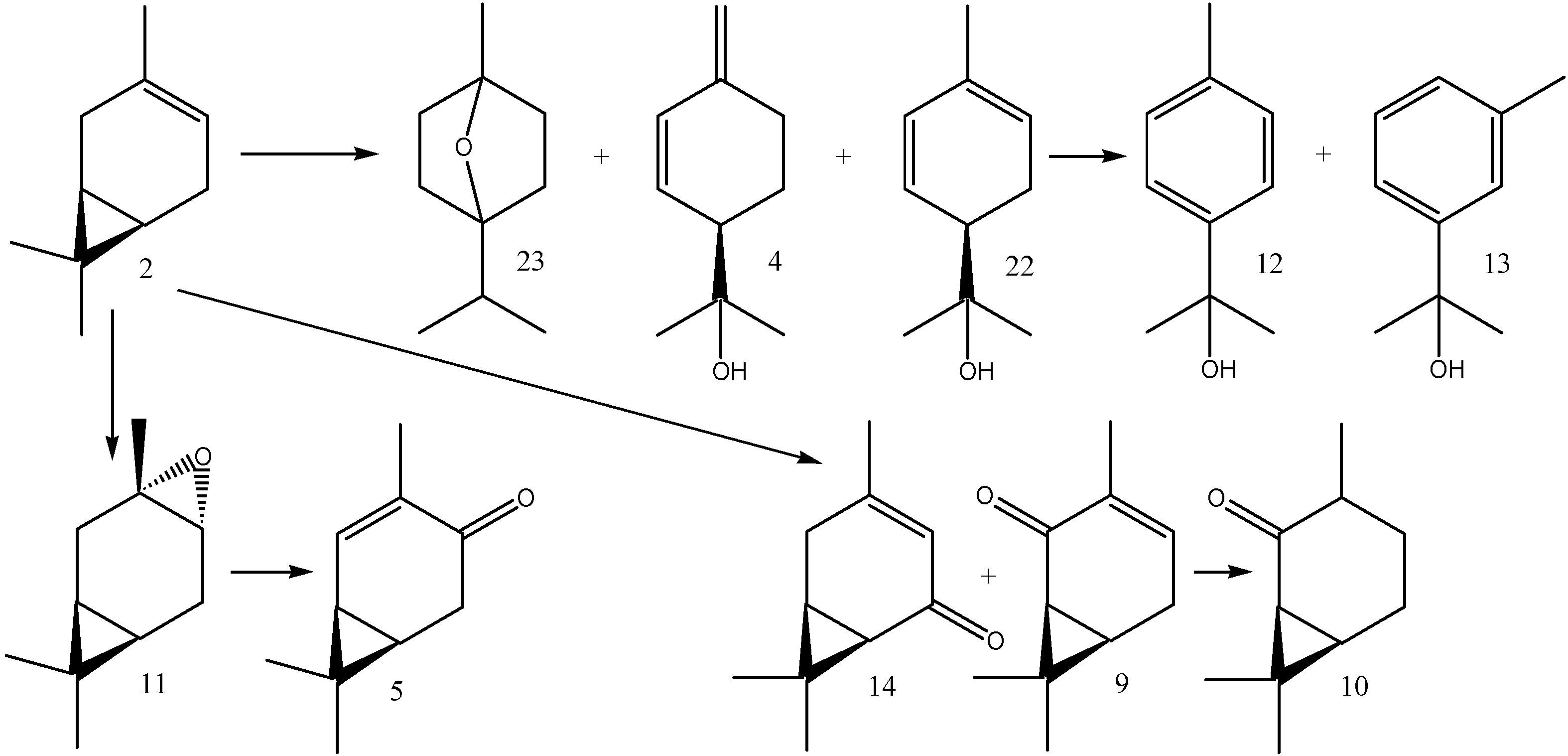 Molecules 16 10541 g004
