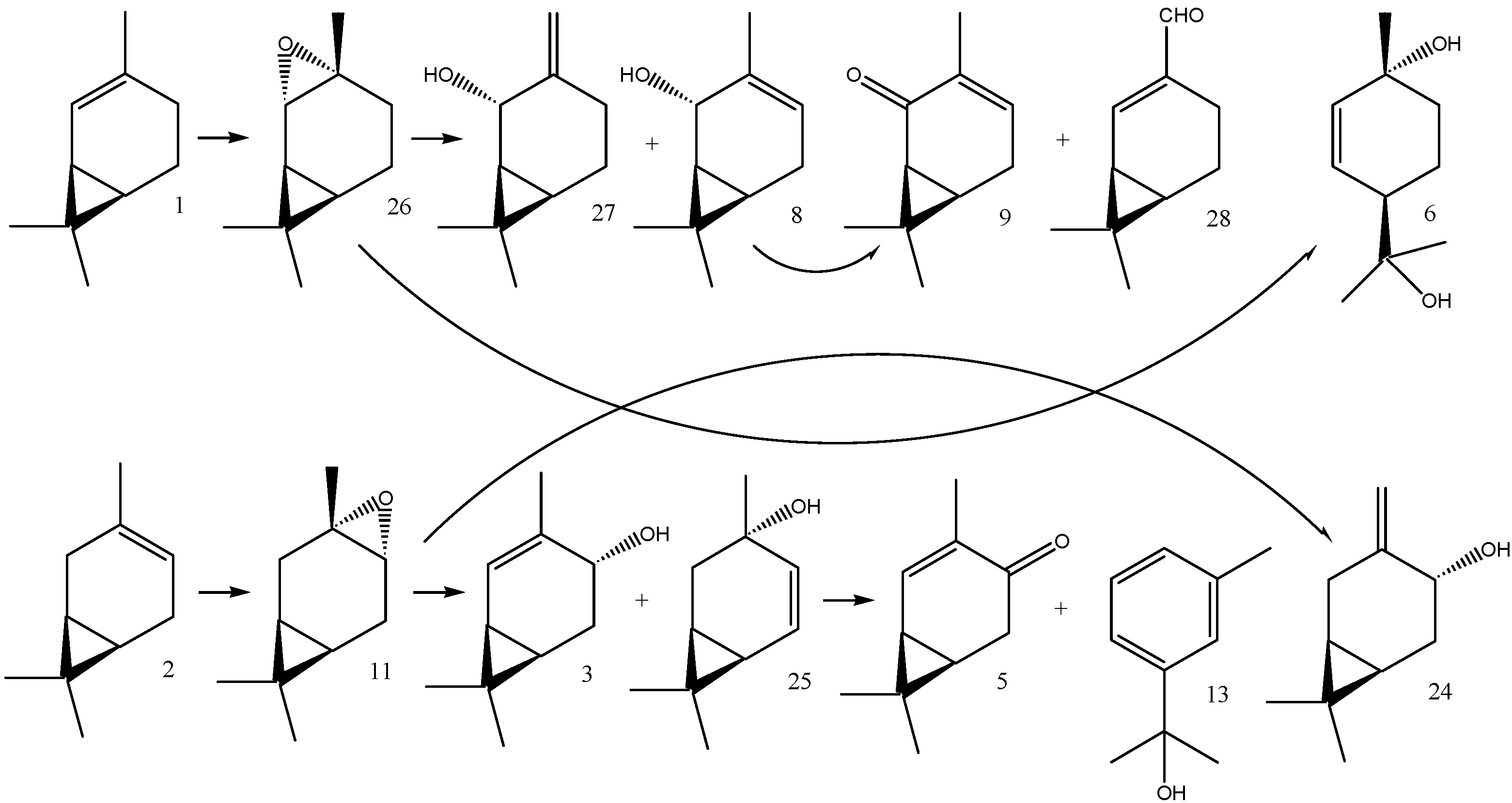 Molecules 16 10541 g006