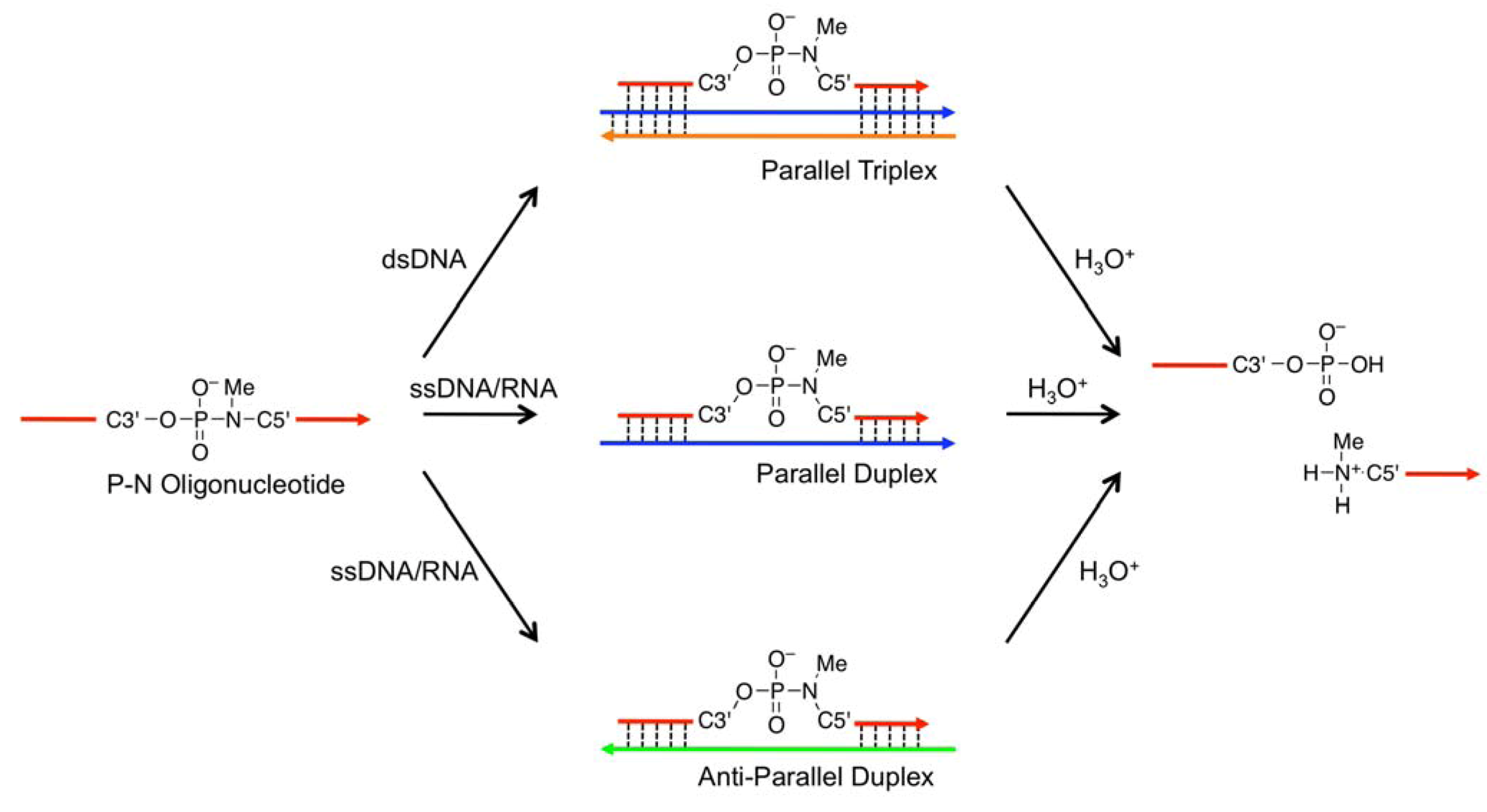 Molecules 16 10695 g002