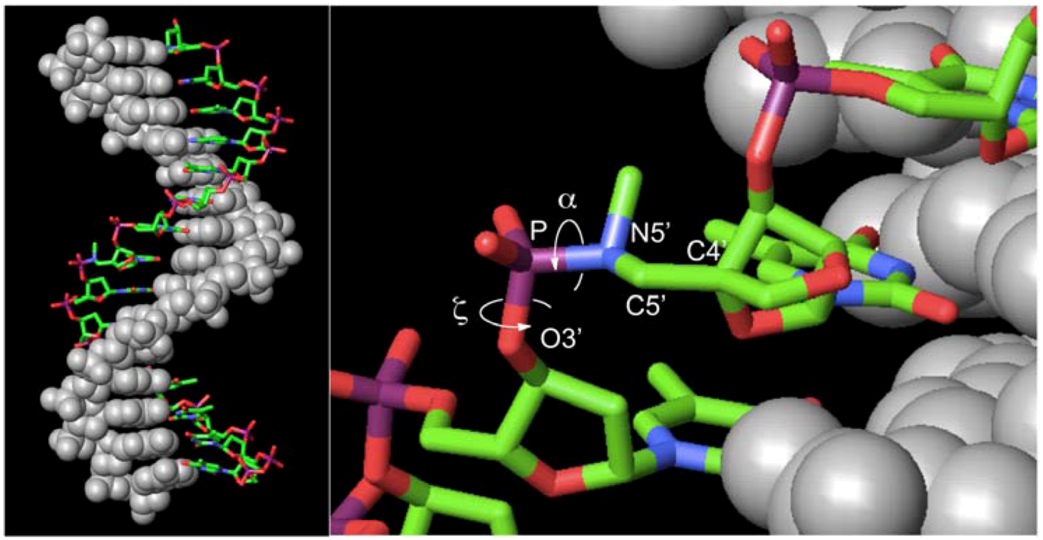 Molecules 16 10695 g005