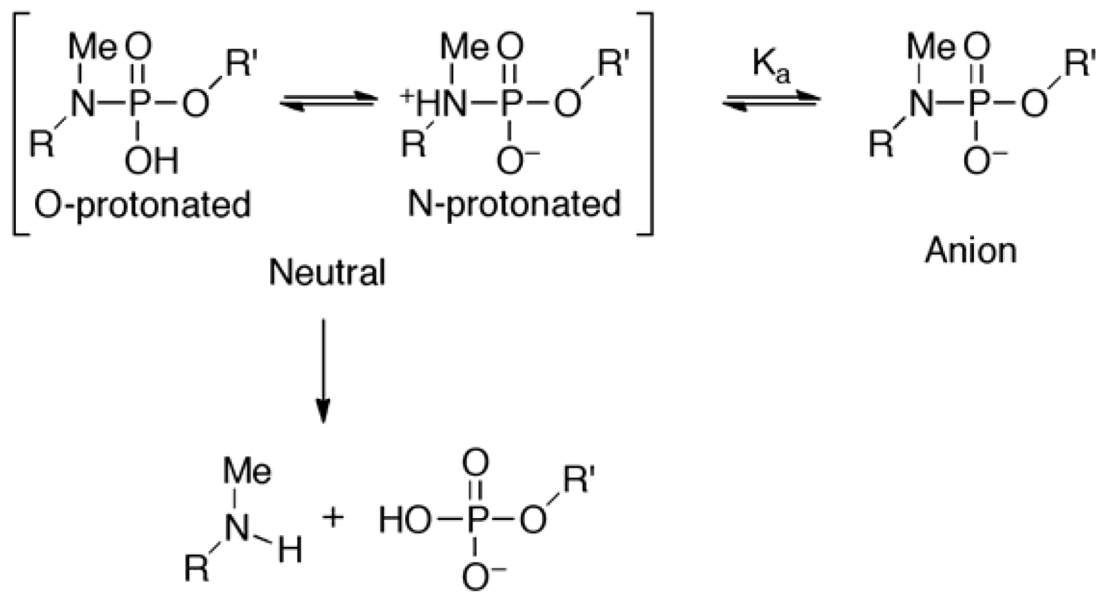 Molecules 16 10695 g007
