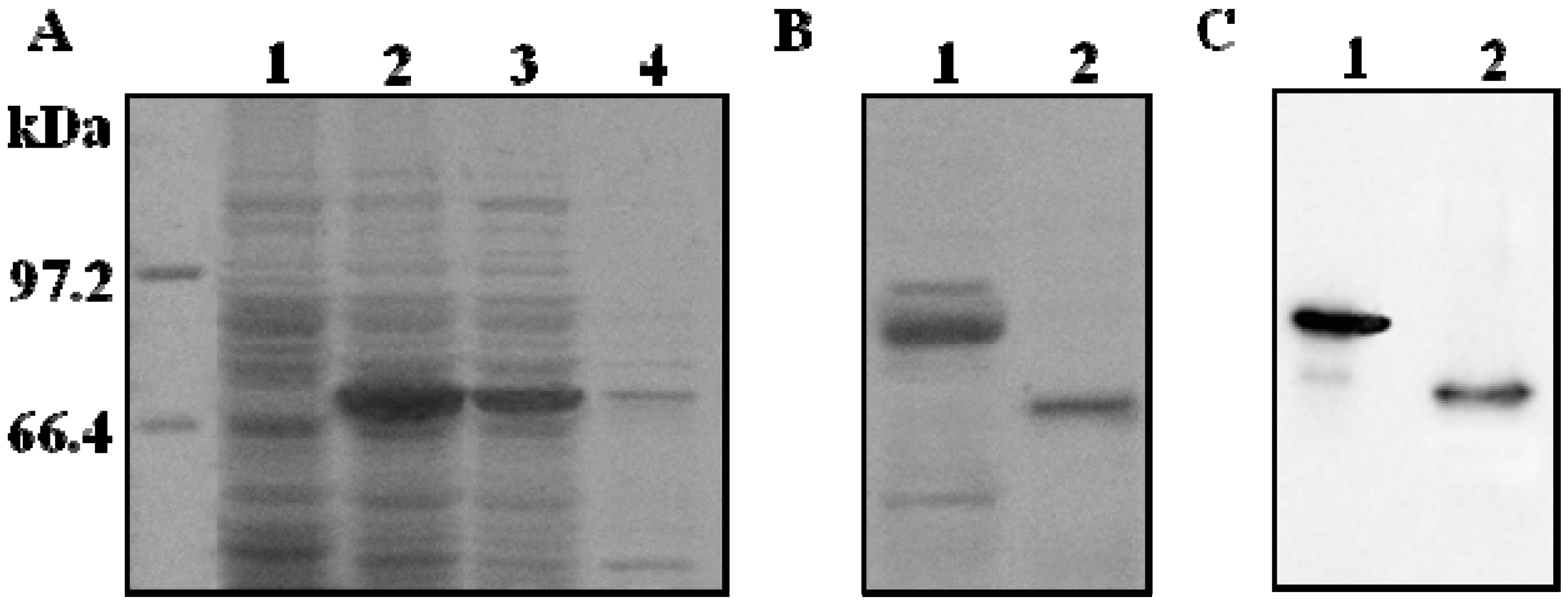 Molecules 16 10709 g001