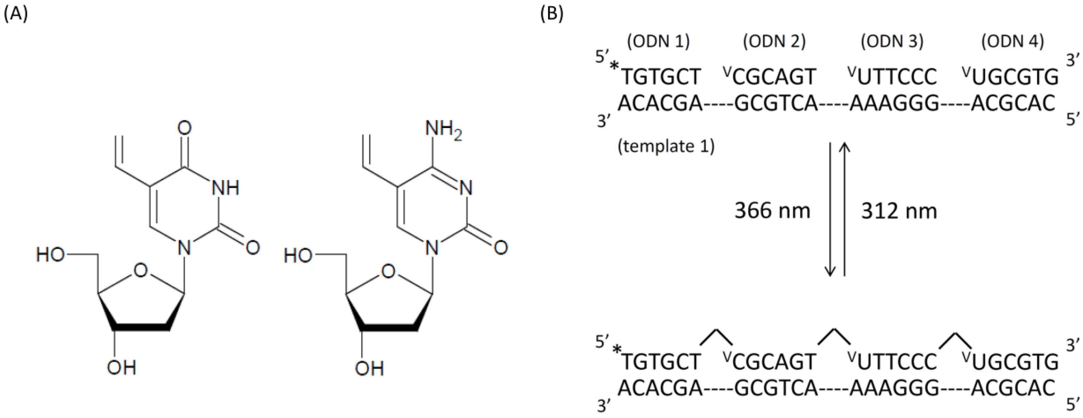 Molecules 17 00163 g001
