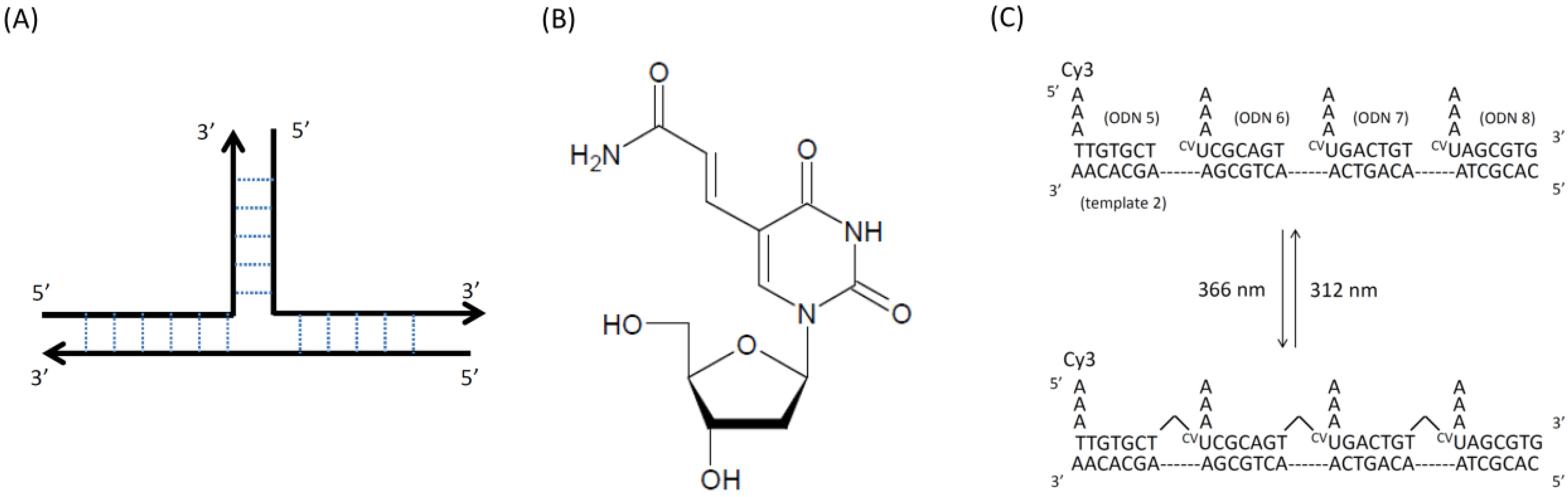 Molecules 17 00163 g003